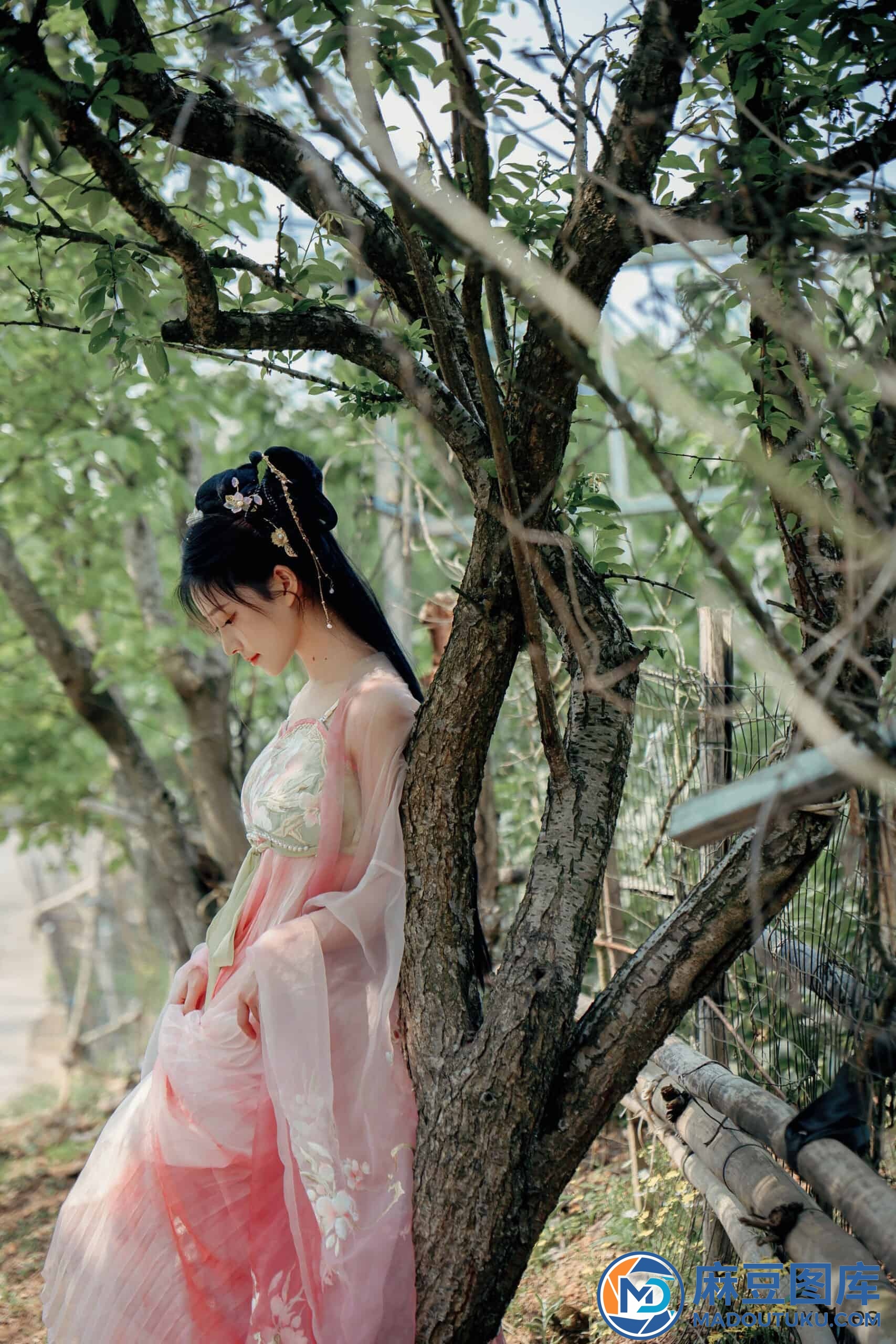 【国模套图】年年《海棠仙》 - 第 5 张