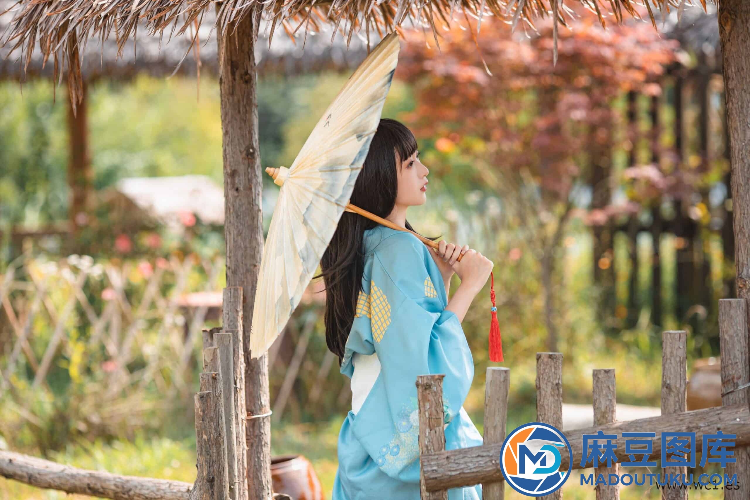 金鱼kinngyo《夏日限定》 - 第 1 张