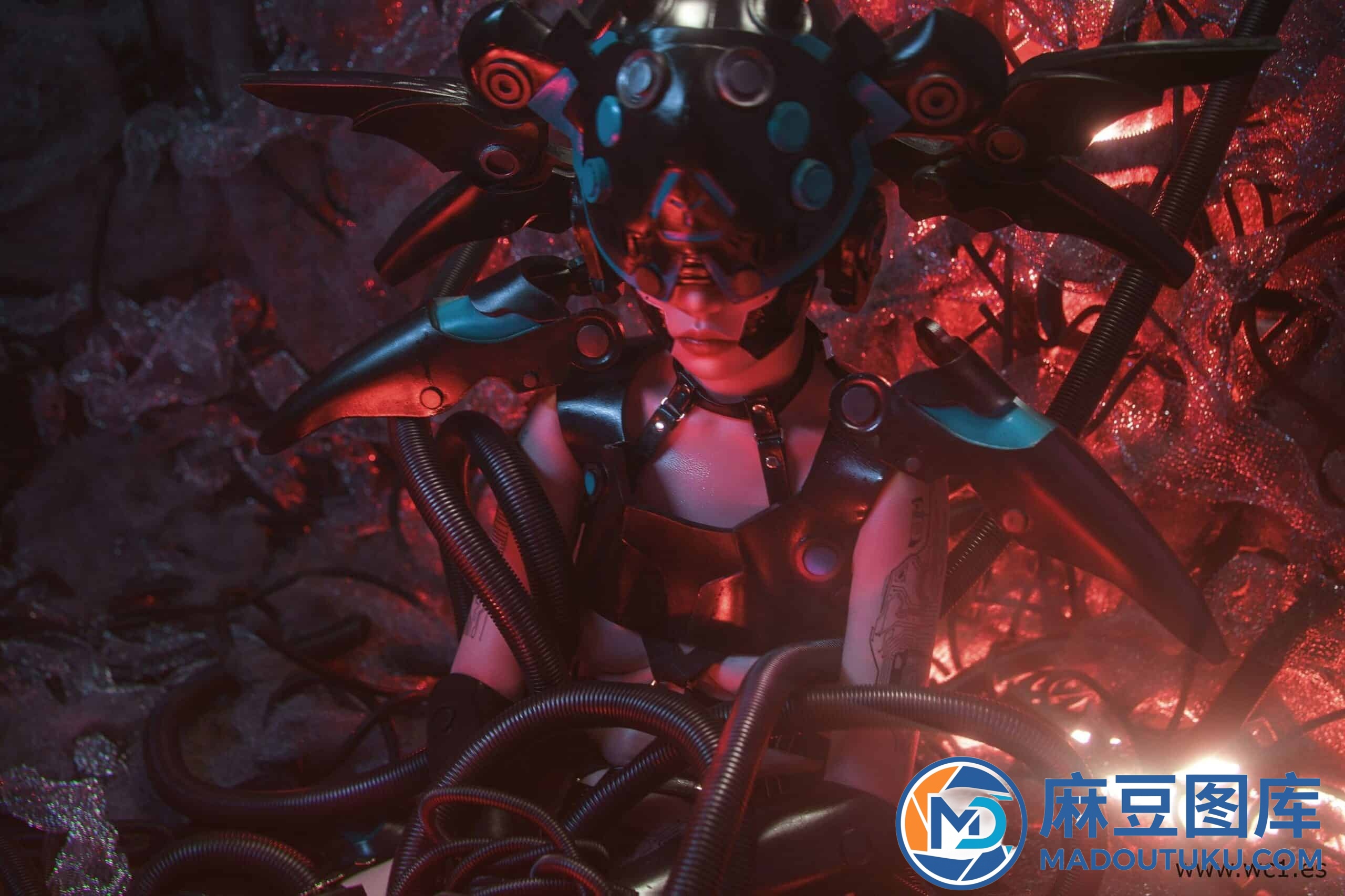 喵小吉《Tori Zero》 - 第 4 张
