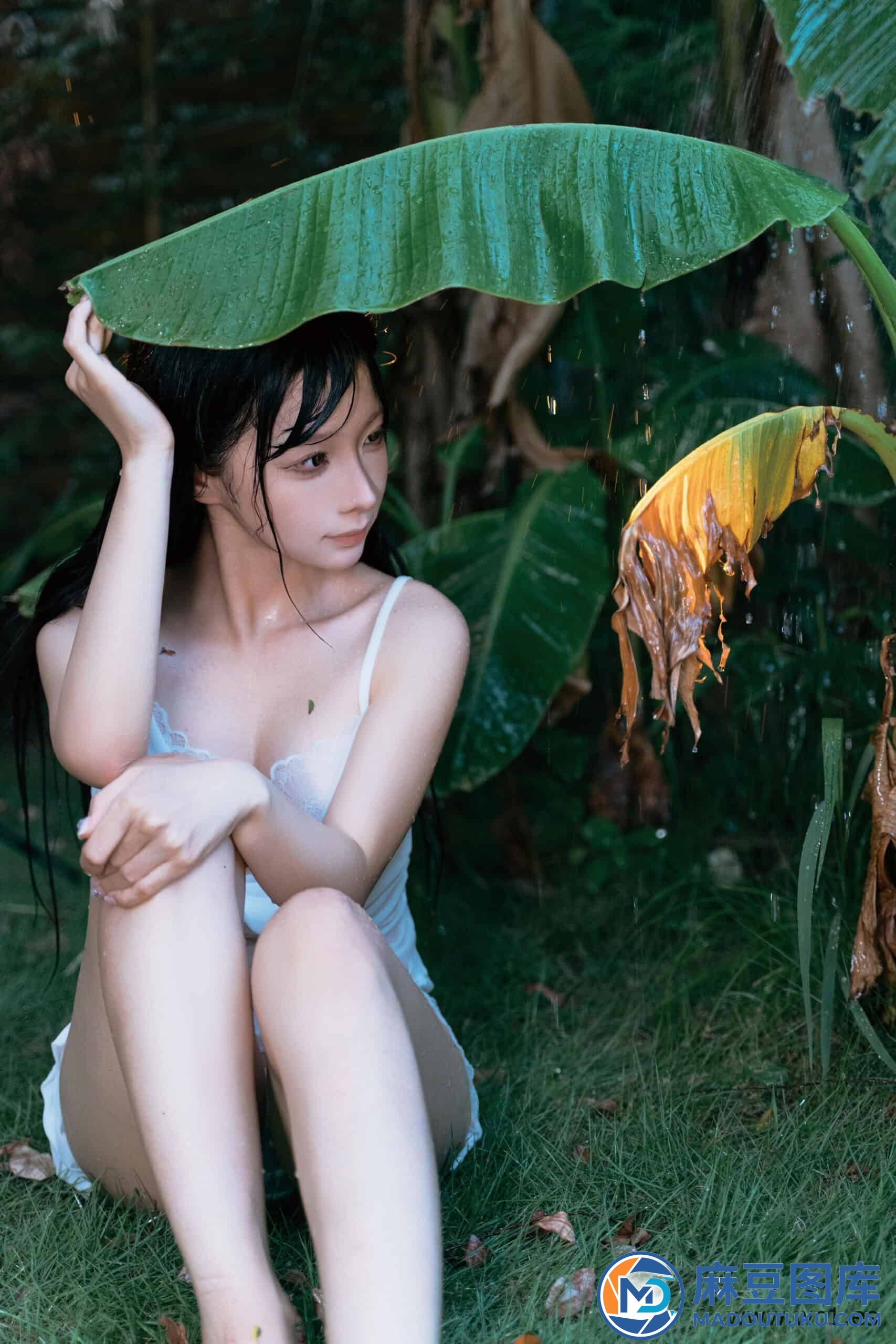 蠢沫沫《雨》