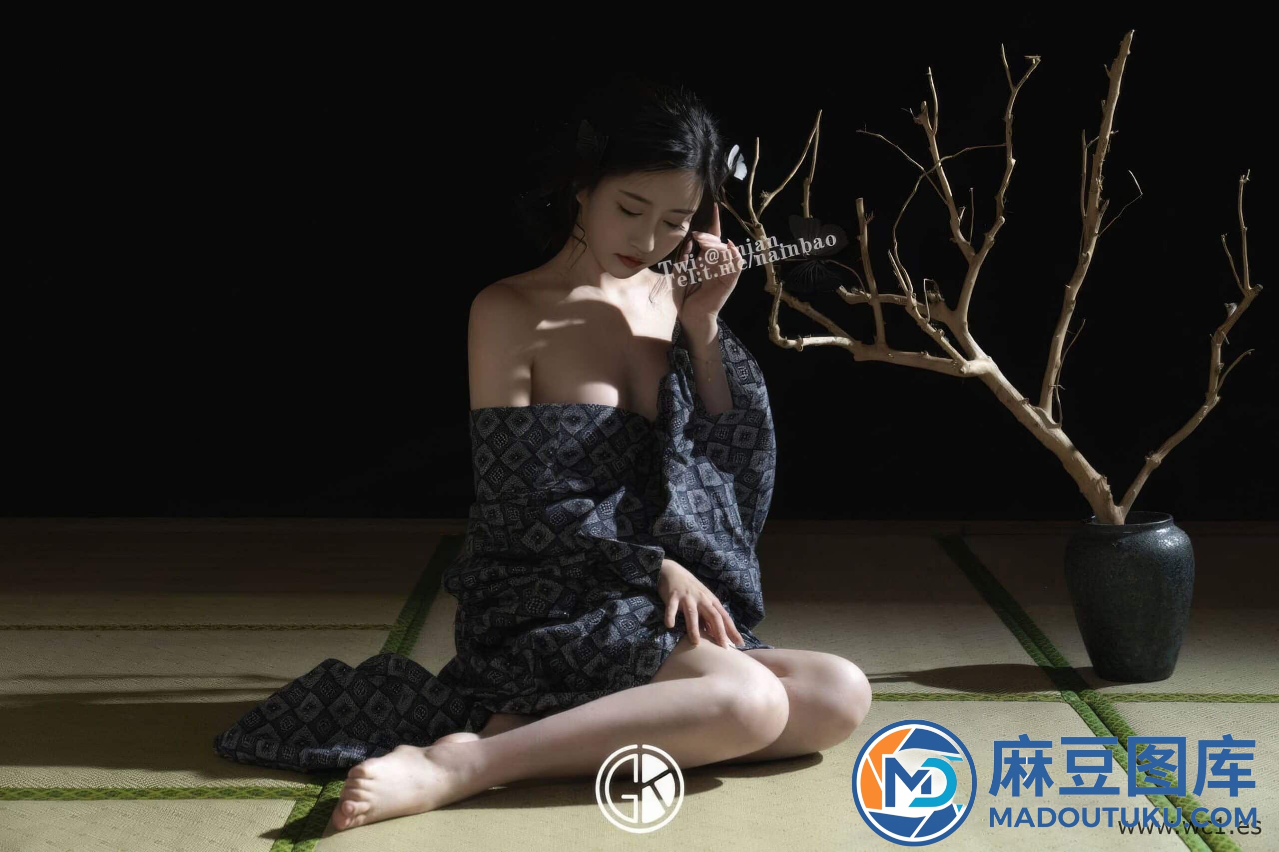【国模套图】年年《蝶之梦》 - 第 4 张