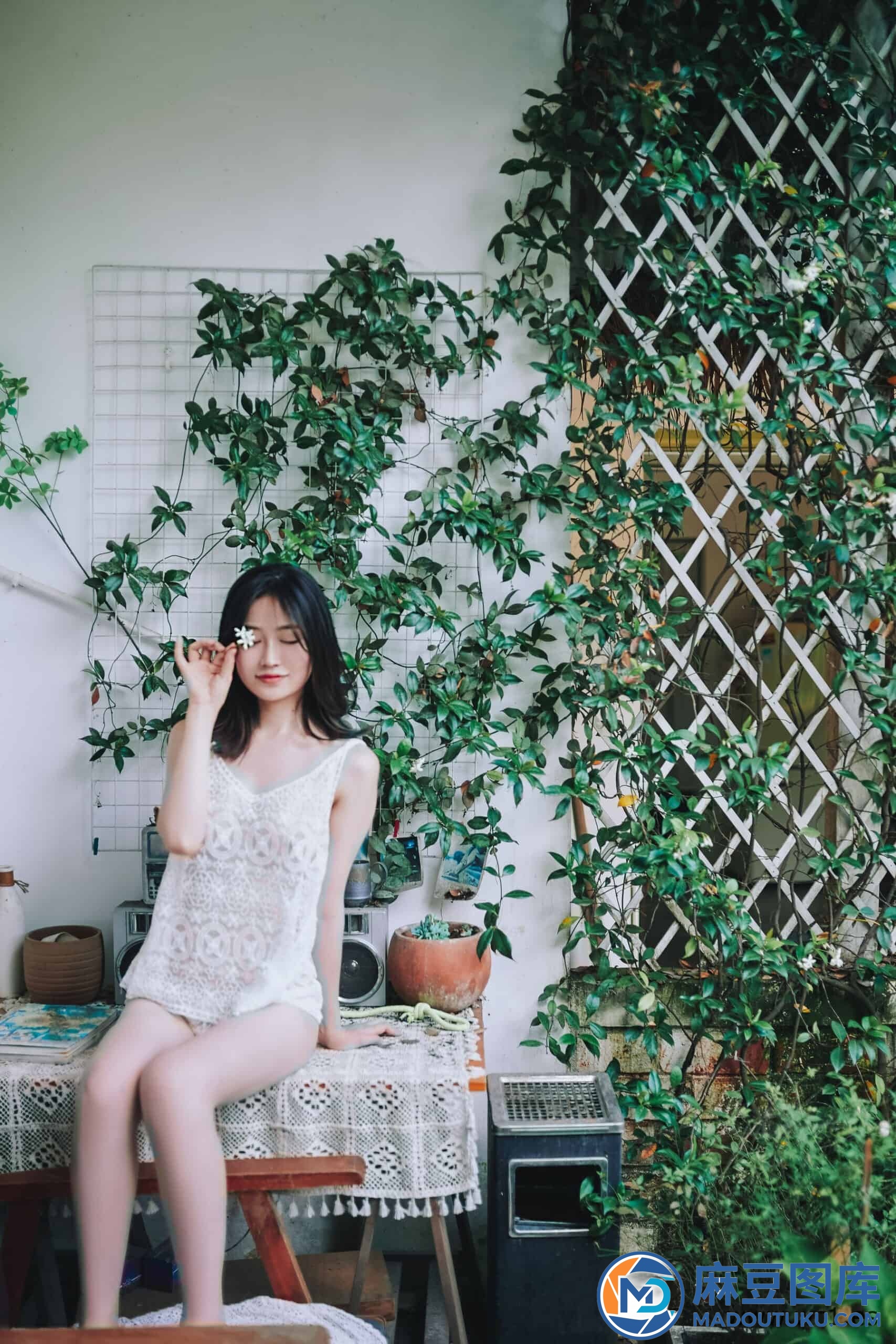 年年《夏日精灵》
