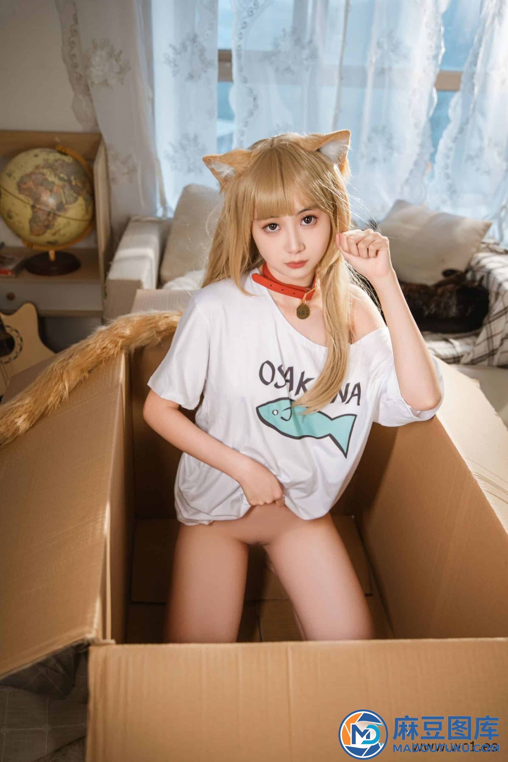 金鱼kinngyo《猫Cat》 - 第 4 张