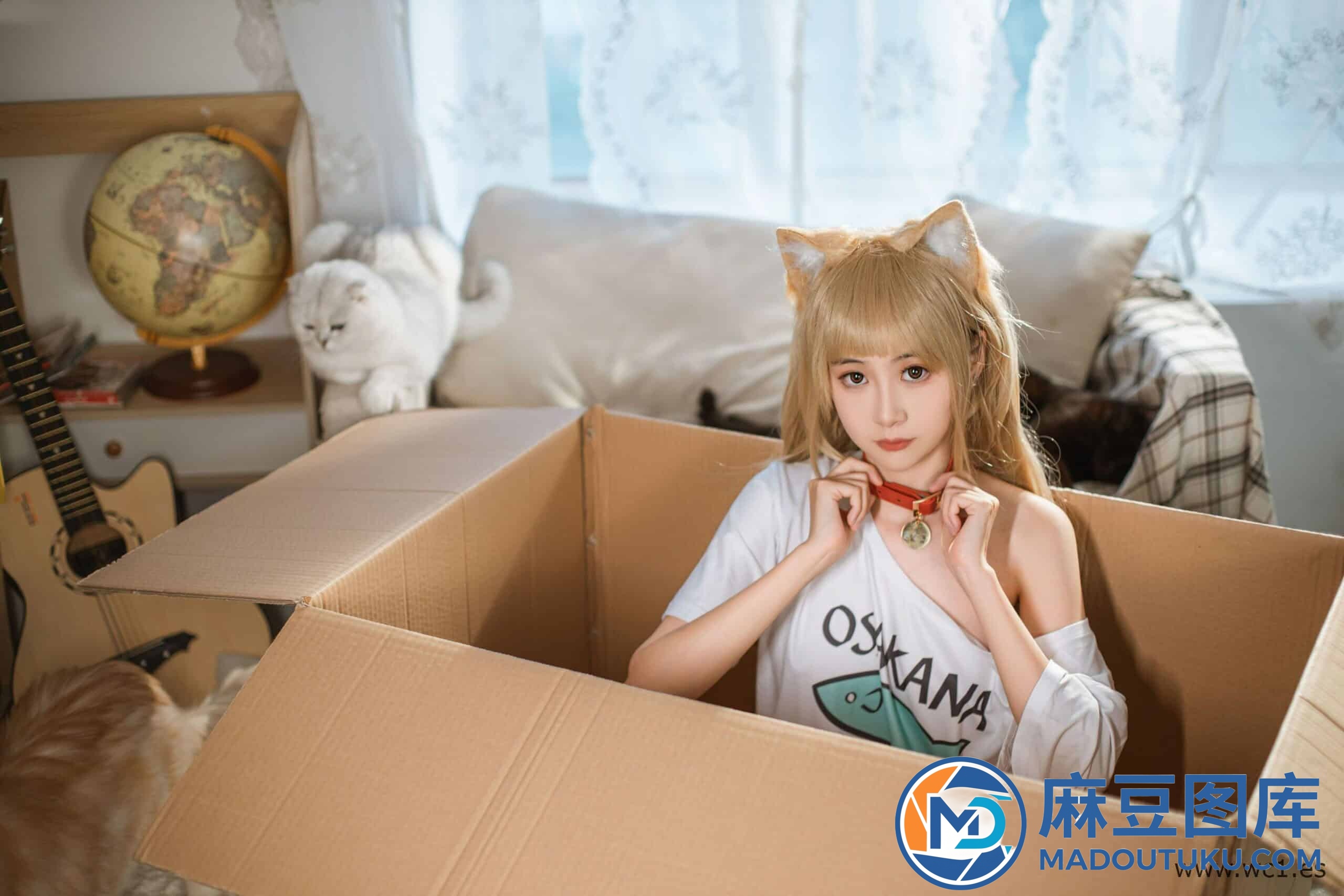 金鱼kinngyo《猫Cat》 - 第 3 张