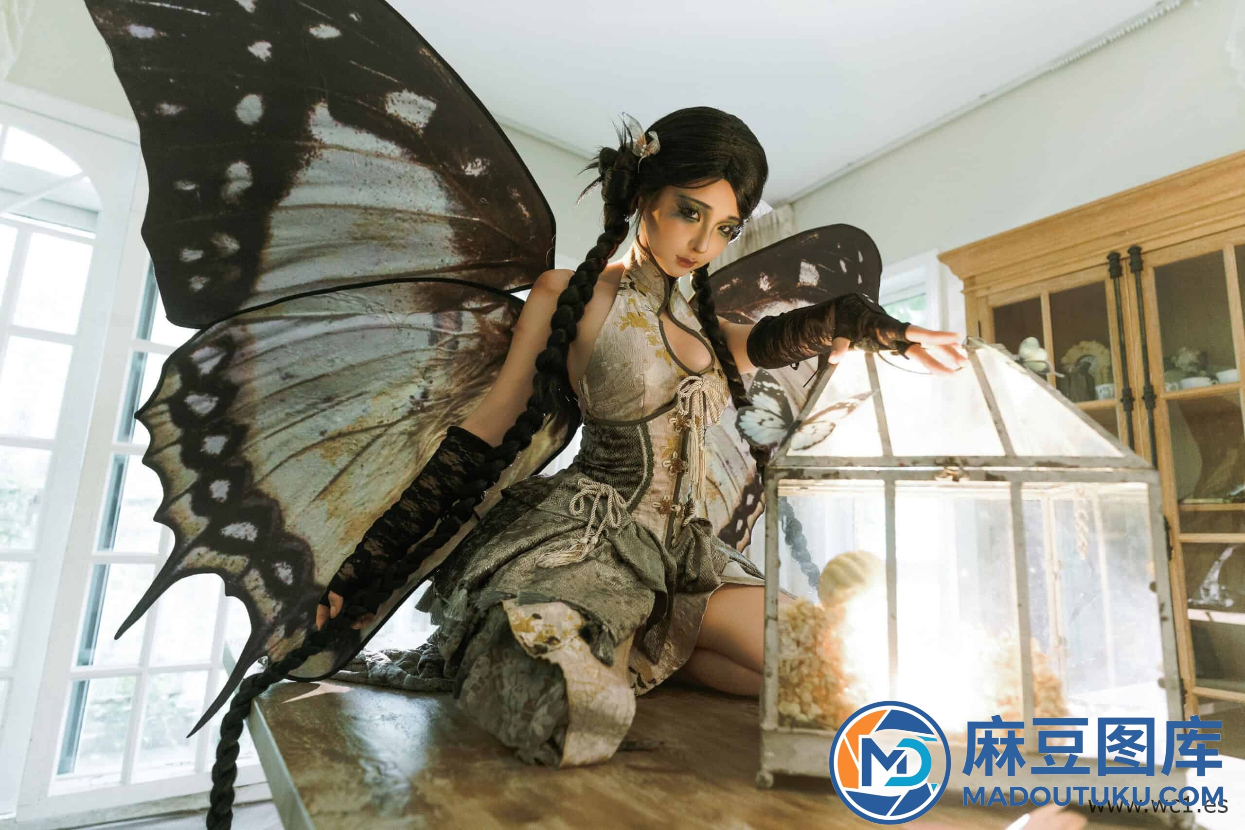 蠢沫沫《枯叶蝶》 - 第 4 张