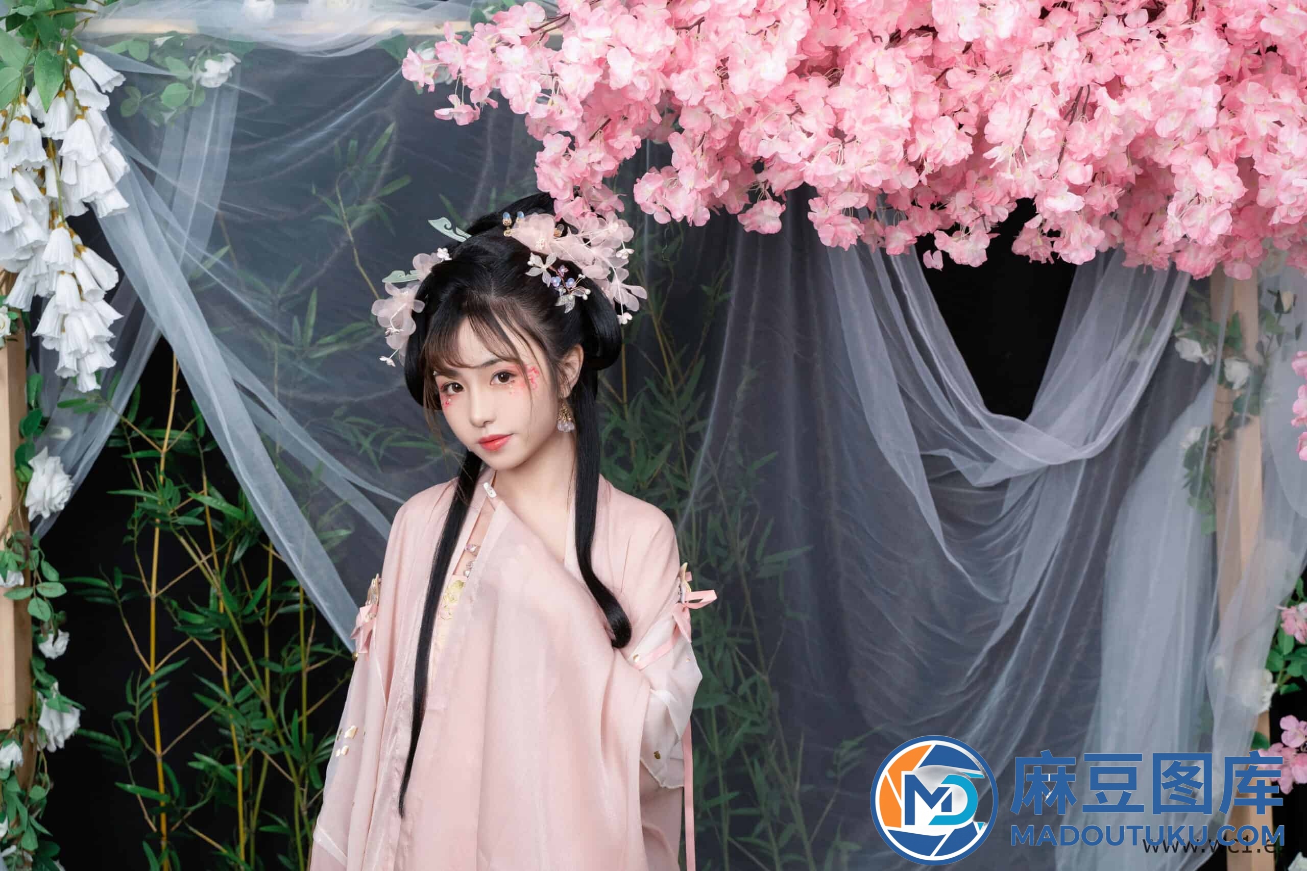 喵小吉《清平乐》 - 第 3 张