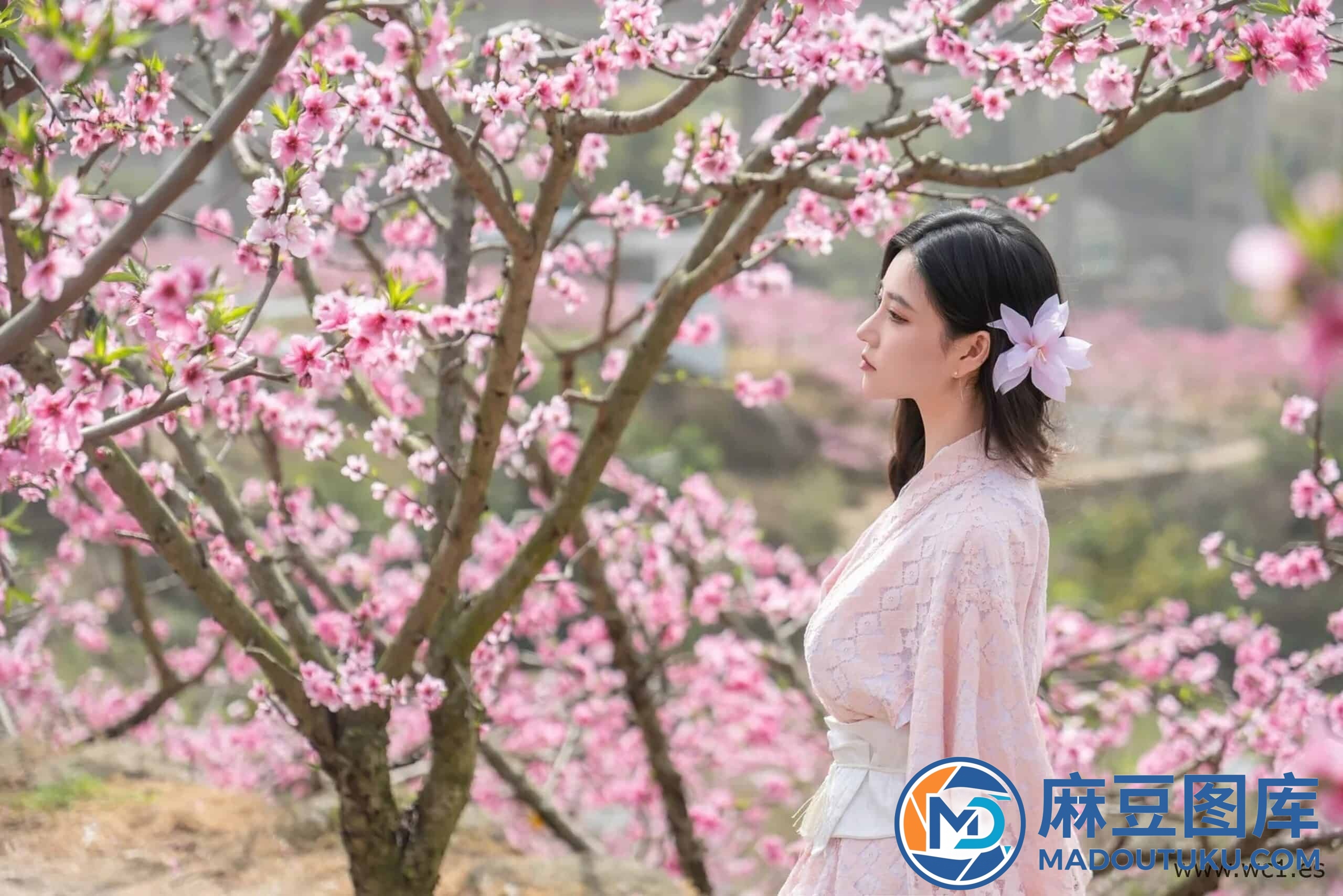 【国模套图】漫花 - 第 6 张