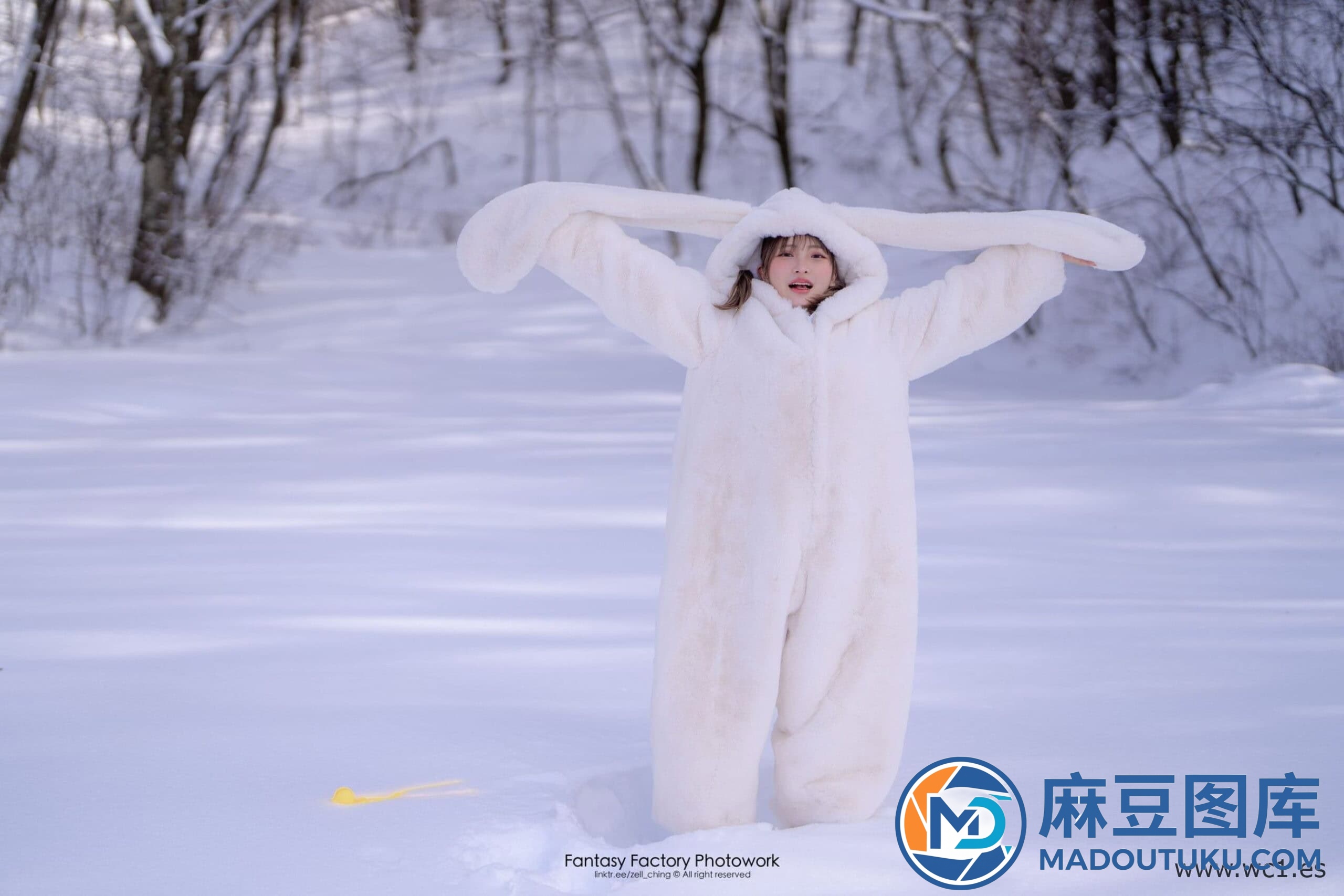 【Fantasy Factory】小丁Ding《Snow Rabbit》 - 第 1 张