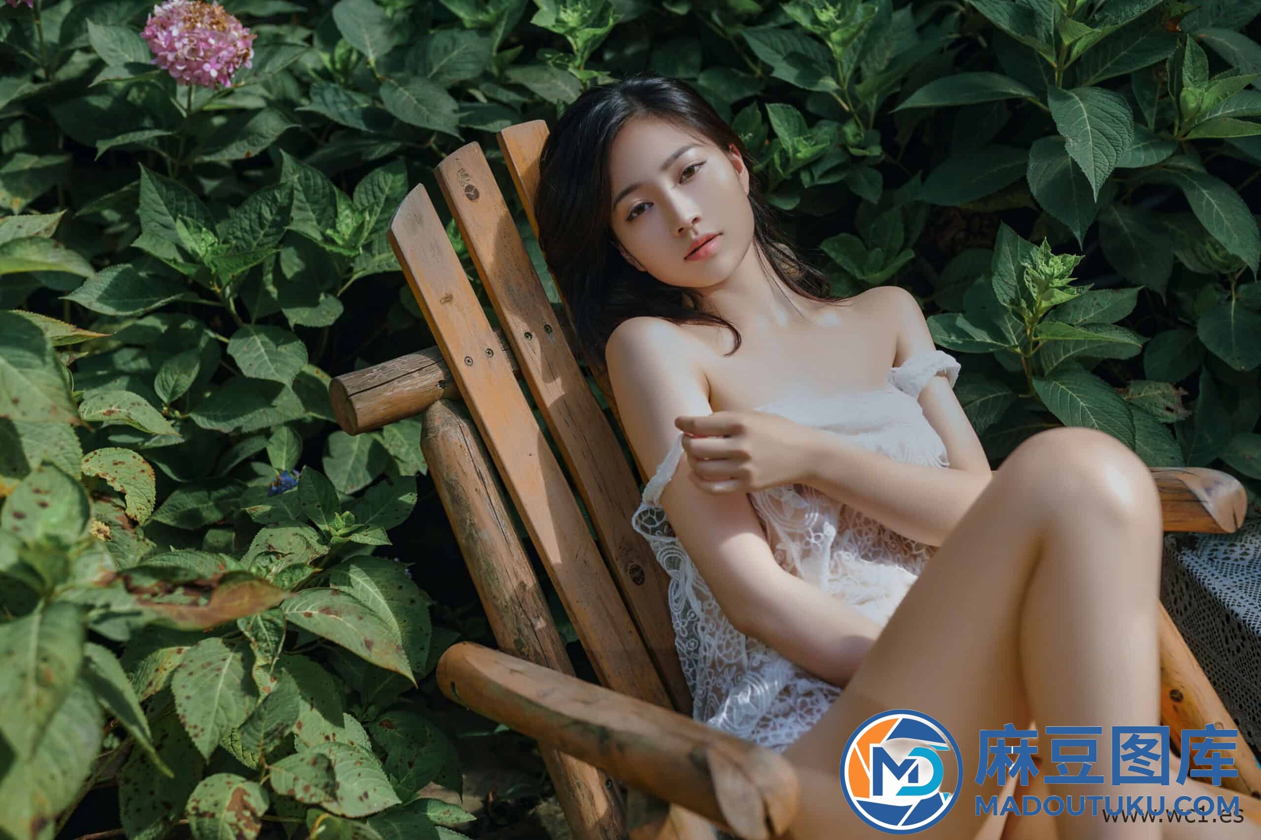 年年《夏日精灵》