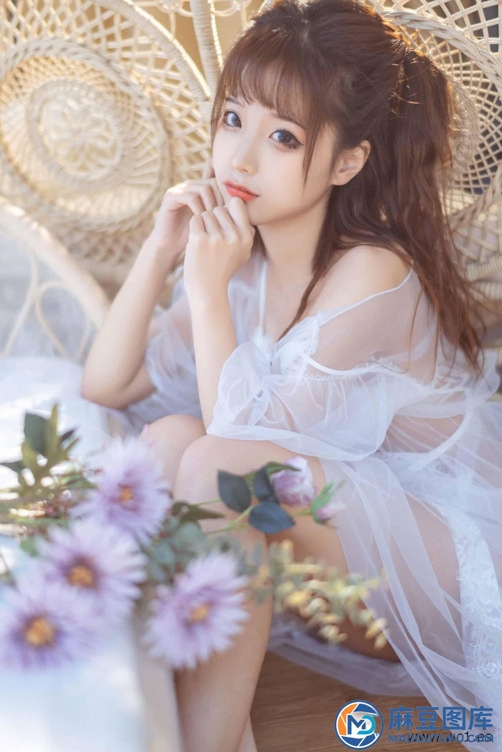 蠢沫沫《轻纱》
