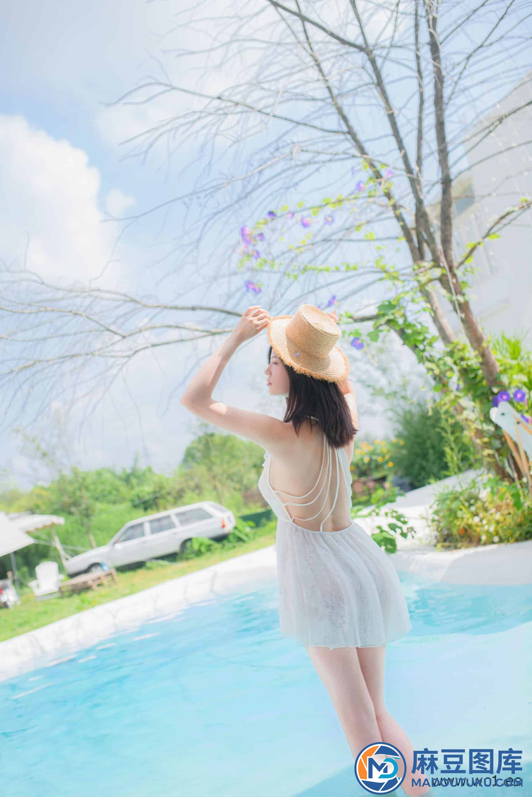 年年《夏日限定泳池》 - 第 4 张