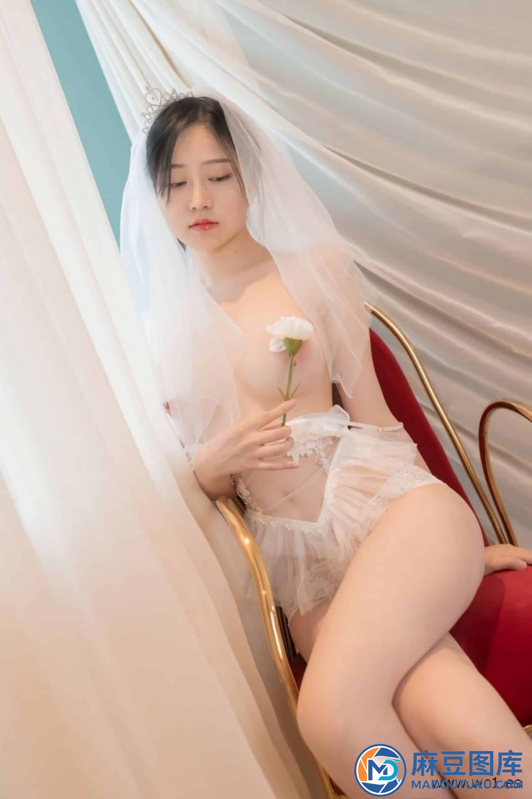 年年《婚纱》