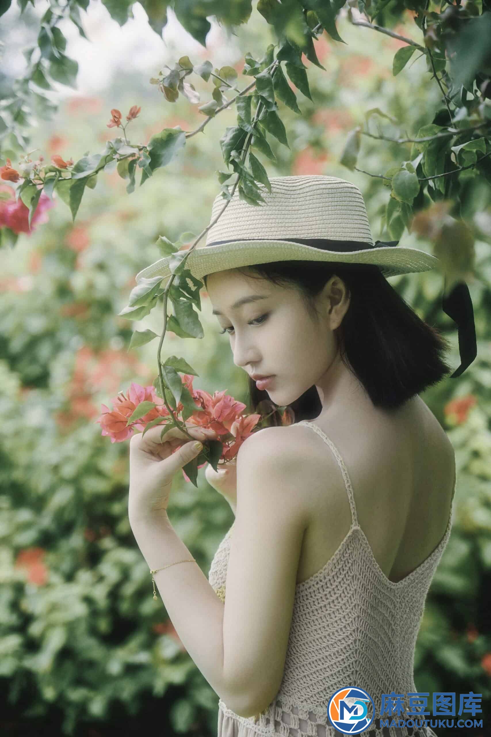 年年《白露》