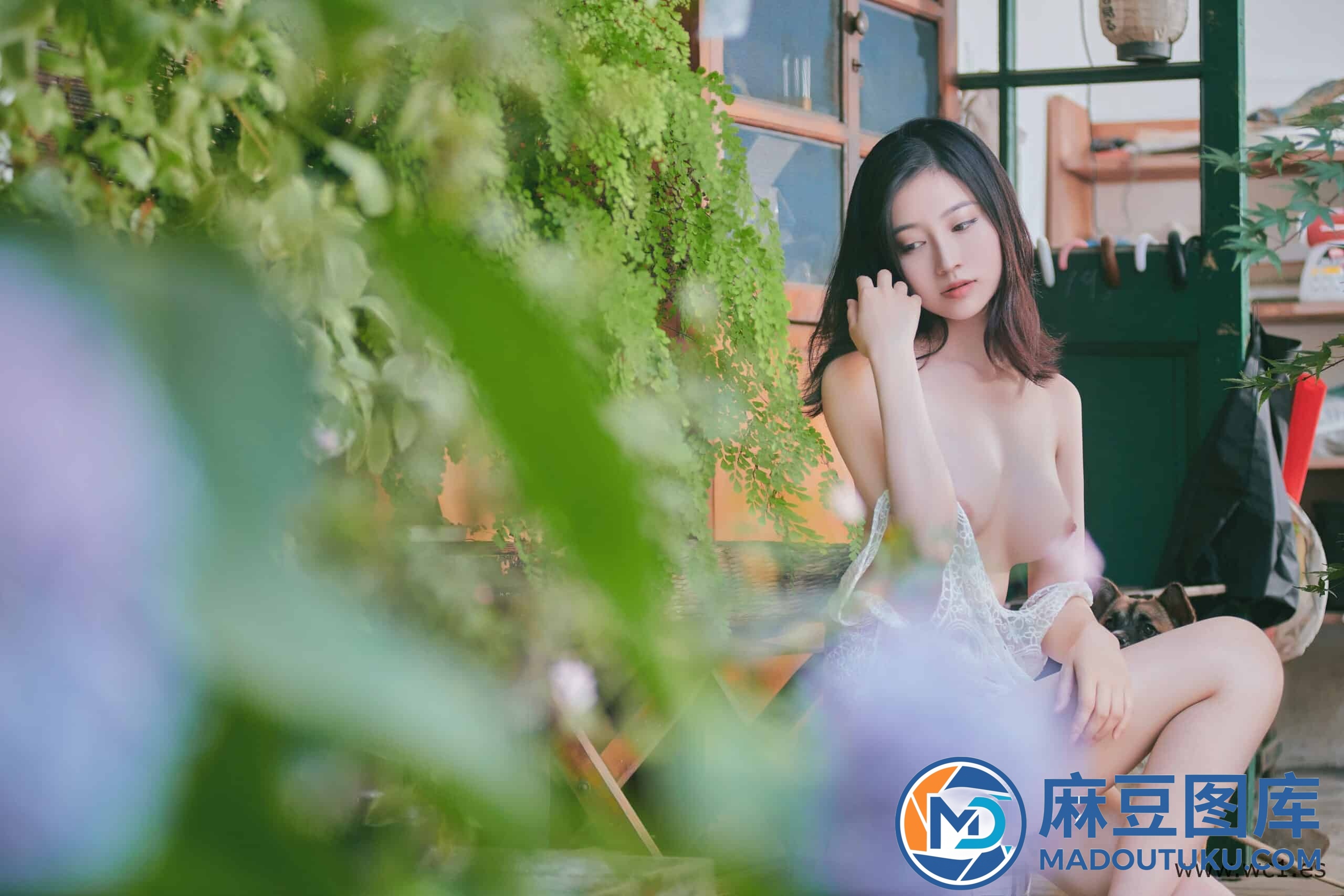 年年《夏日精灵》