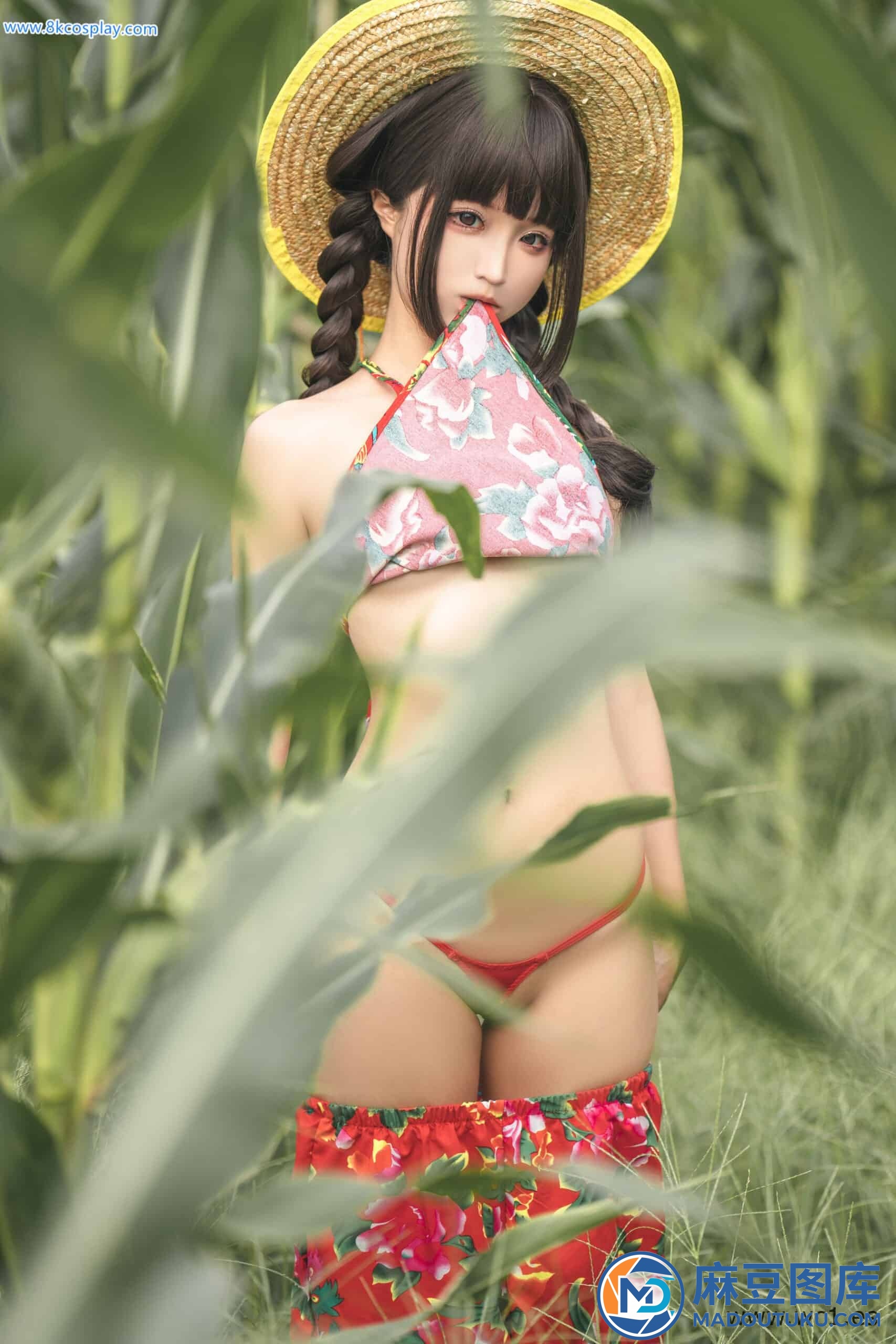蠢沫沫《苞米地的故事》