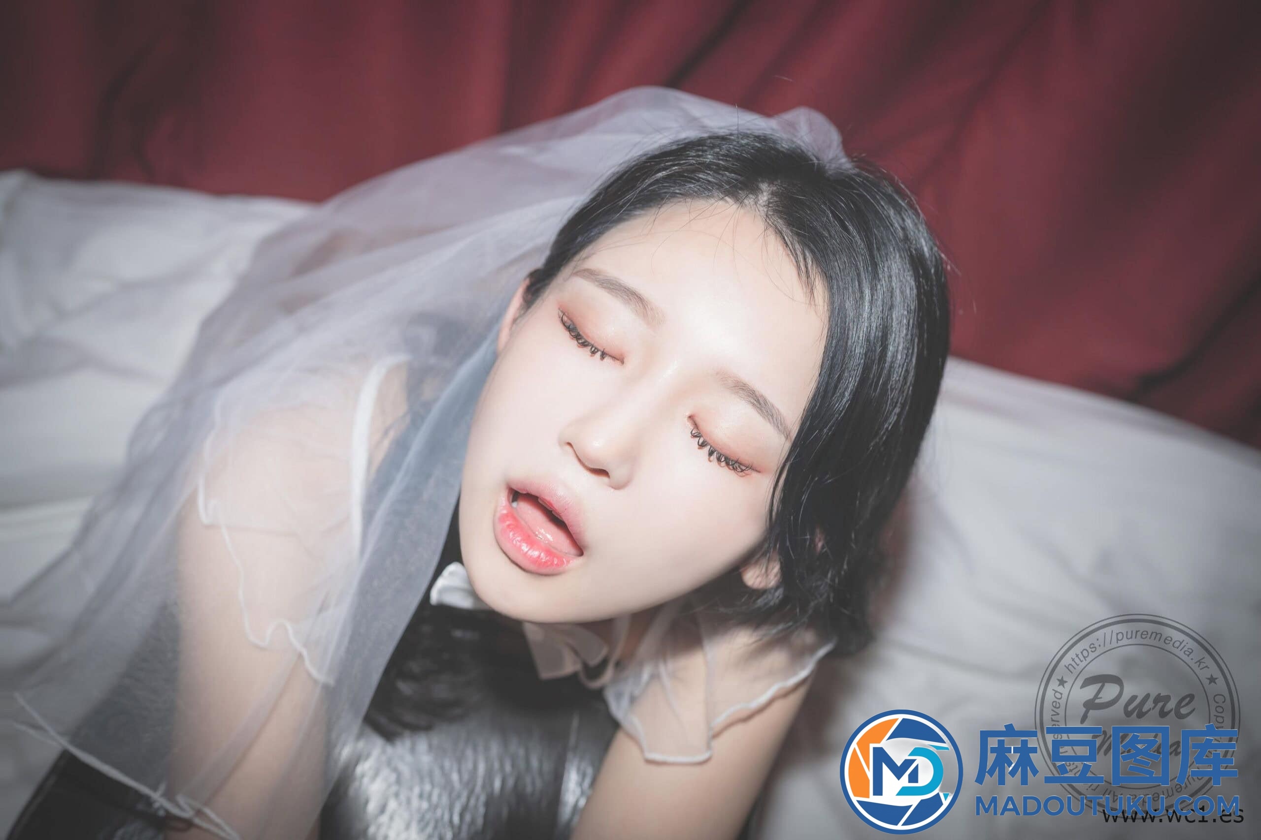 【Pure Media】Yeha（예하）