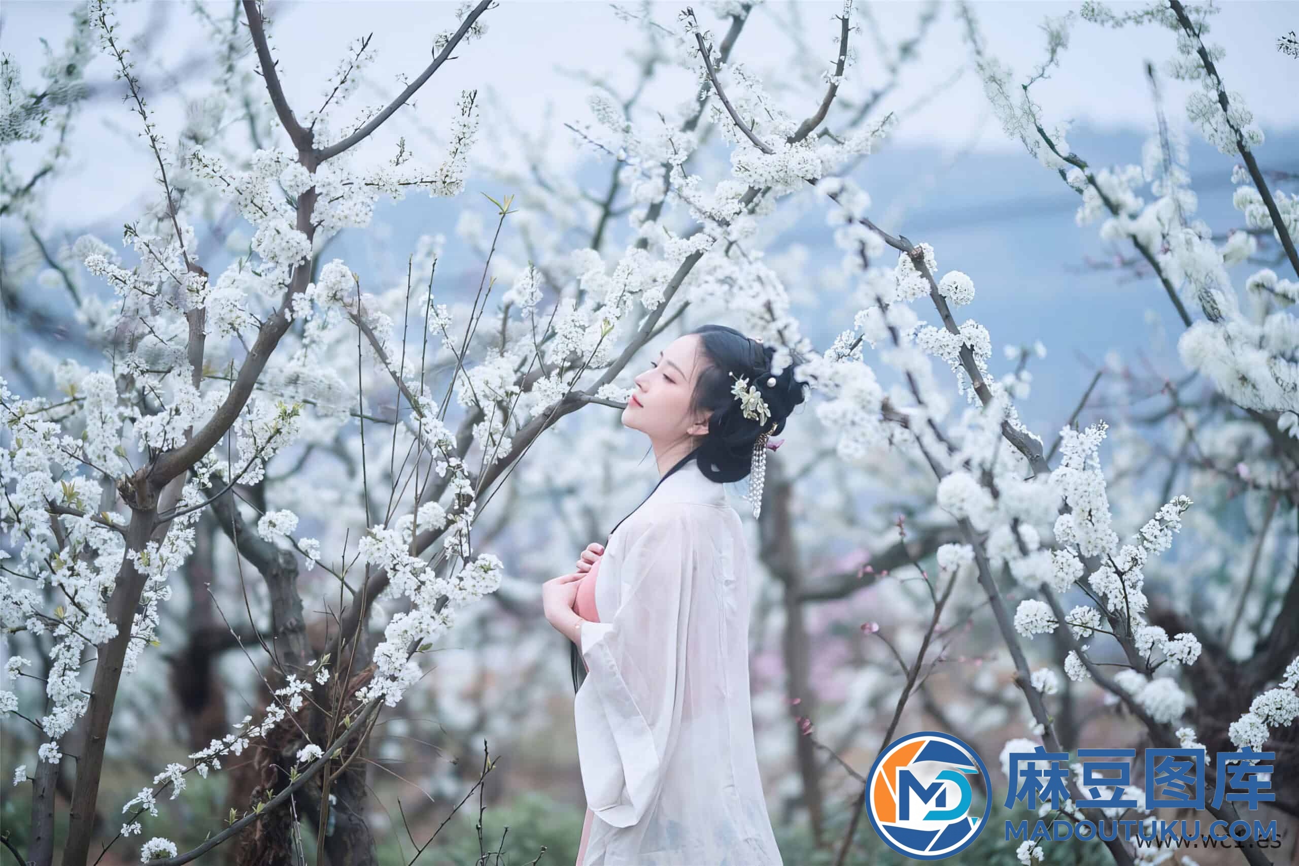 年年《三月榕》 - 第 6 张