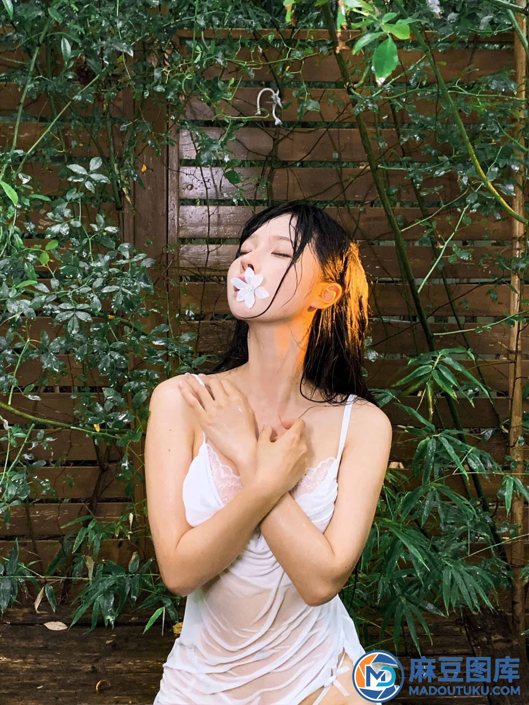 蠢沫沫《雨》