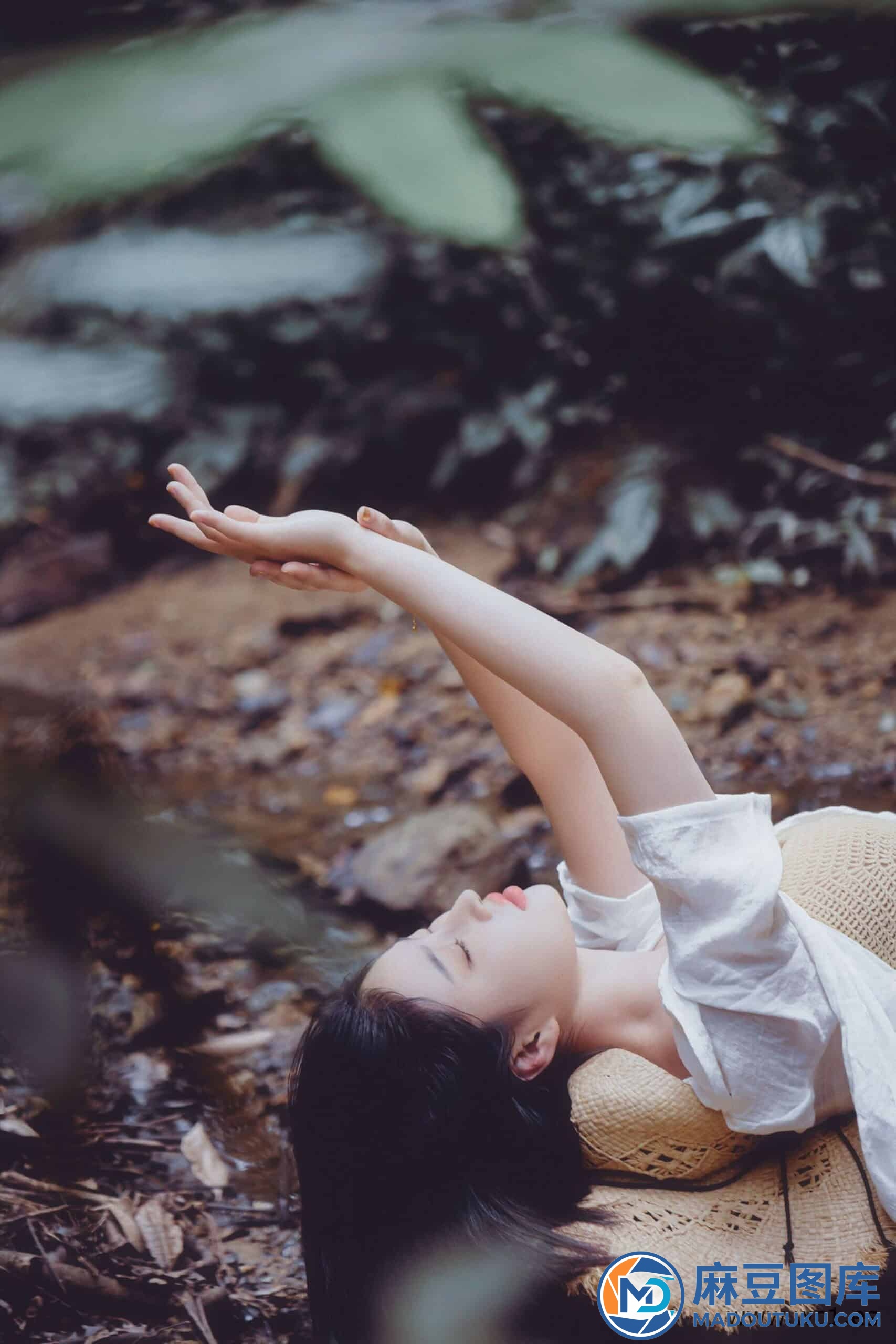 年年《白露》