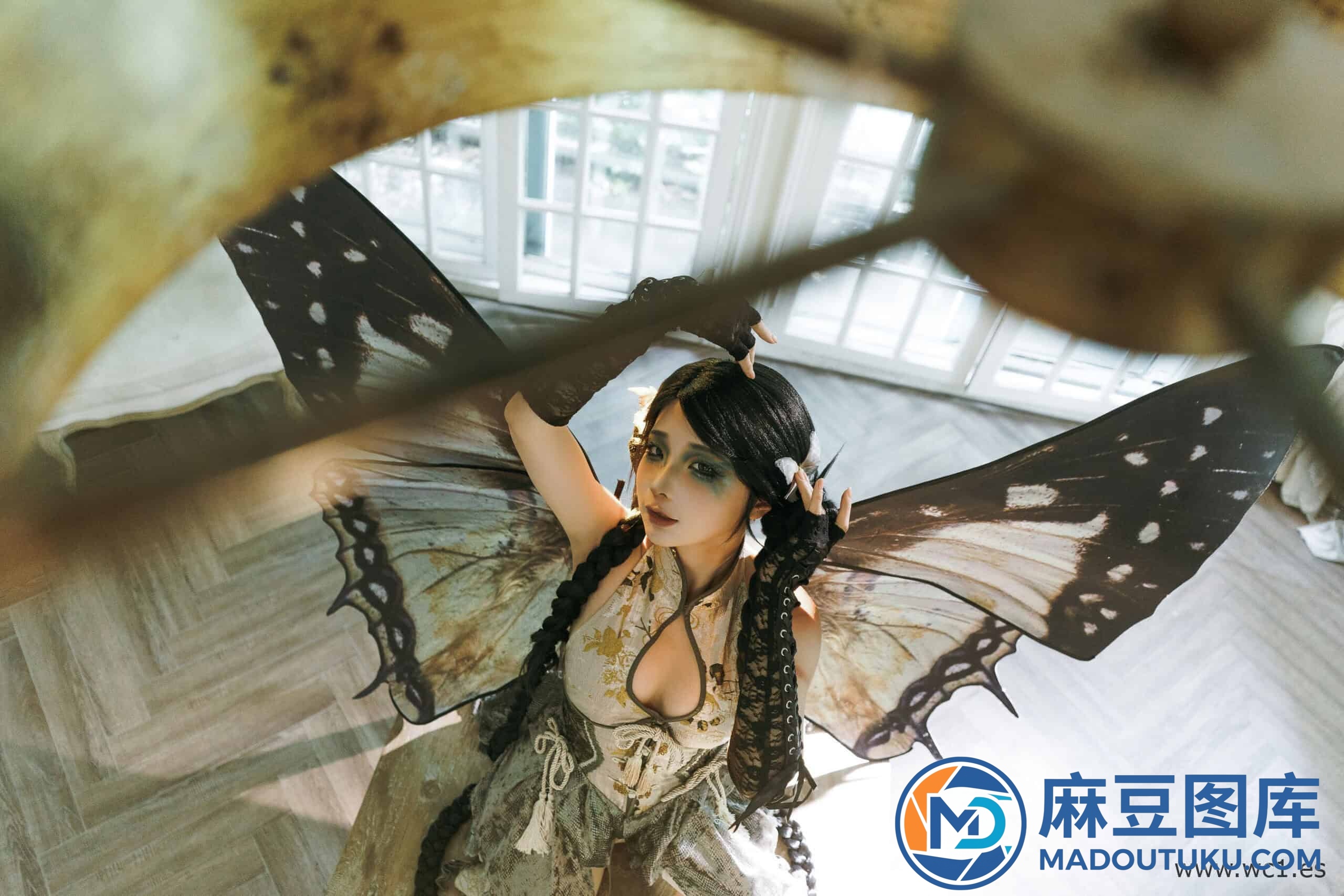 蠢沫沫《枯叶蝶》 - 第 7 张