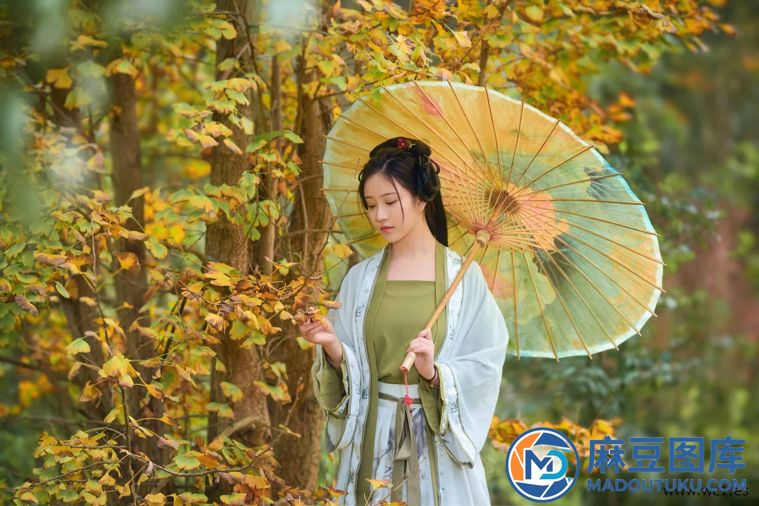 年年《秋兮》 - 第 1 张