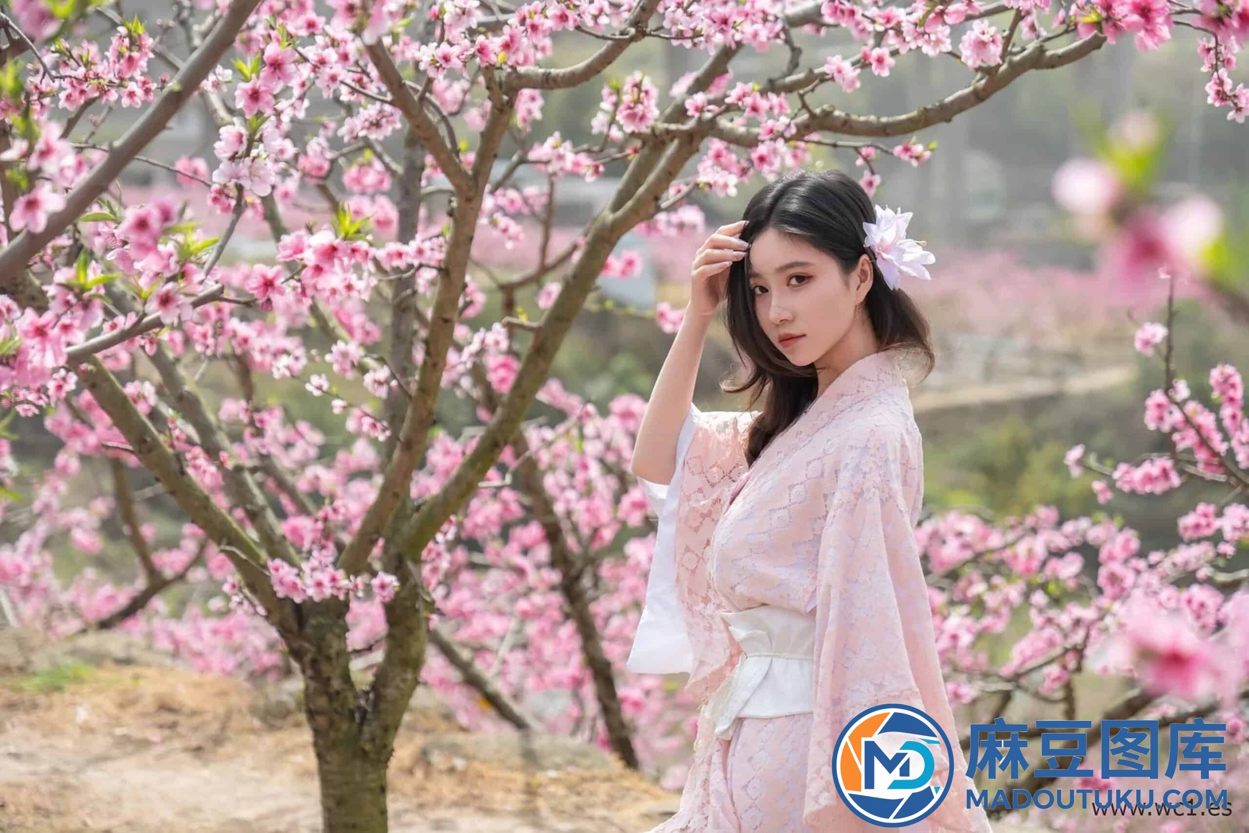 【国模套图】漫花 - 第 7 张