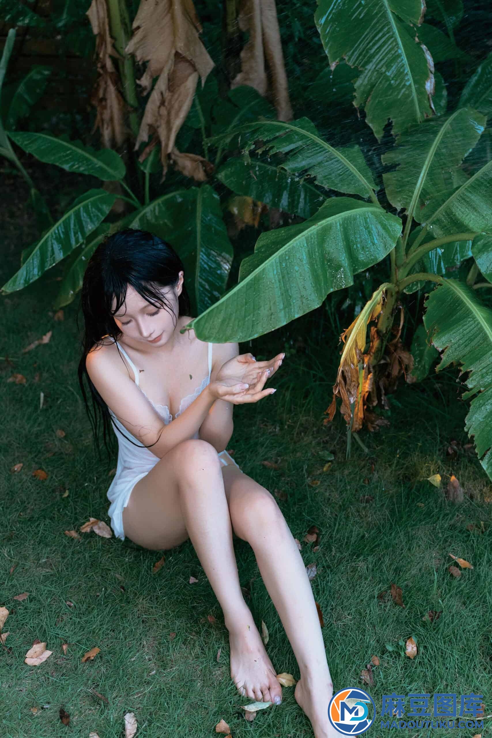 蠢沫沫《雨》