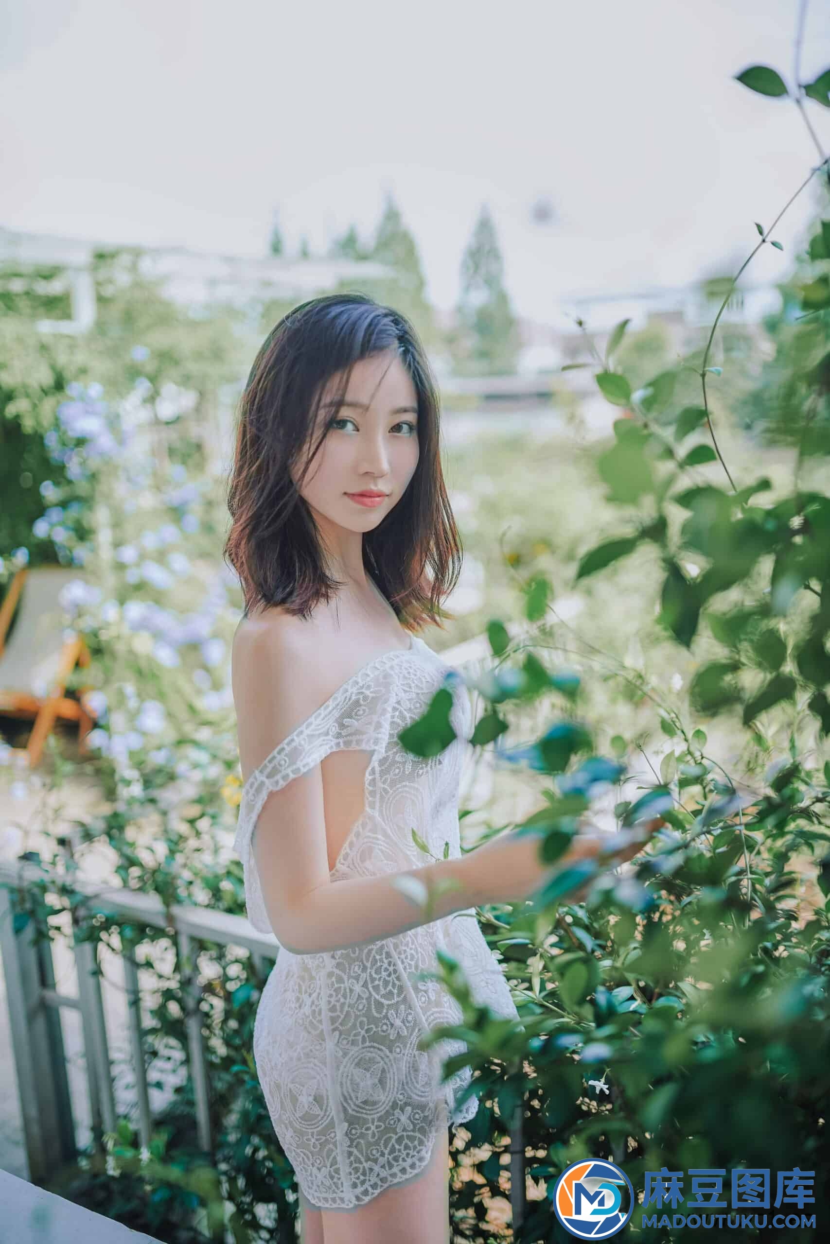 年年《夏日精灵》
