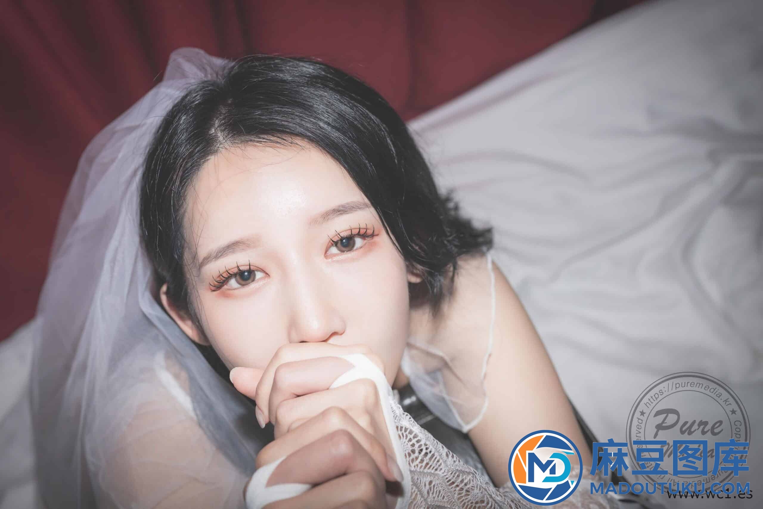 【Pure Media】Yeha（예하）