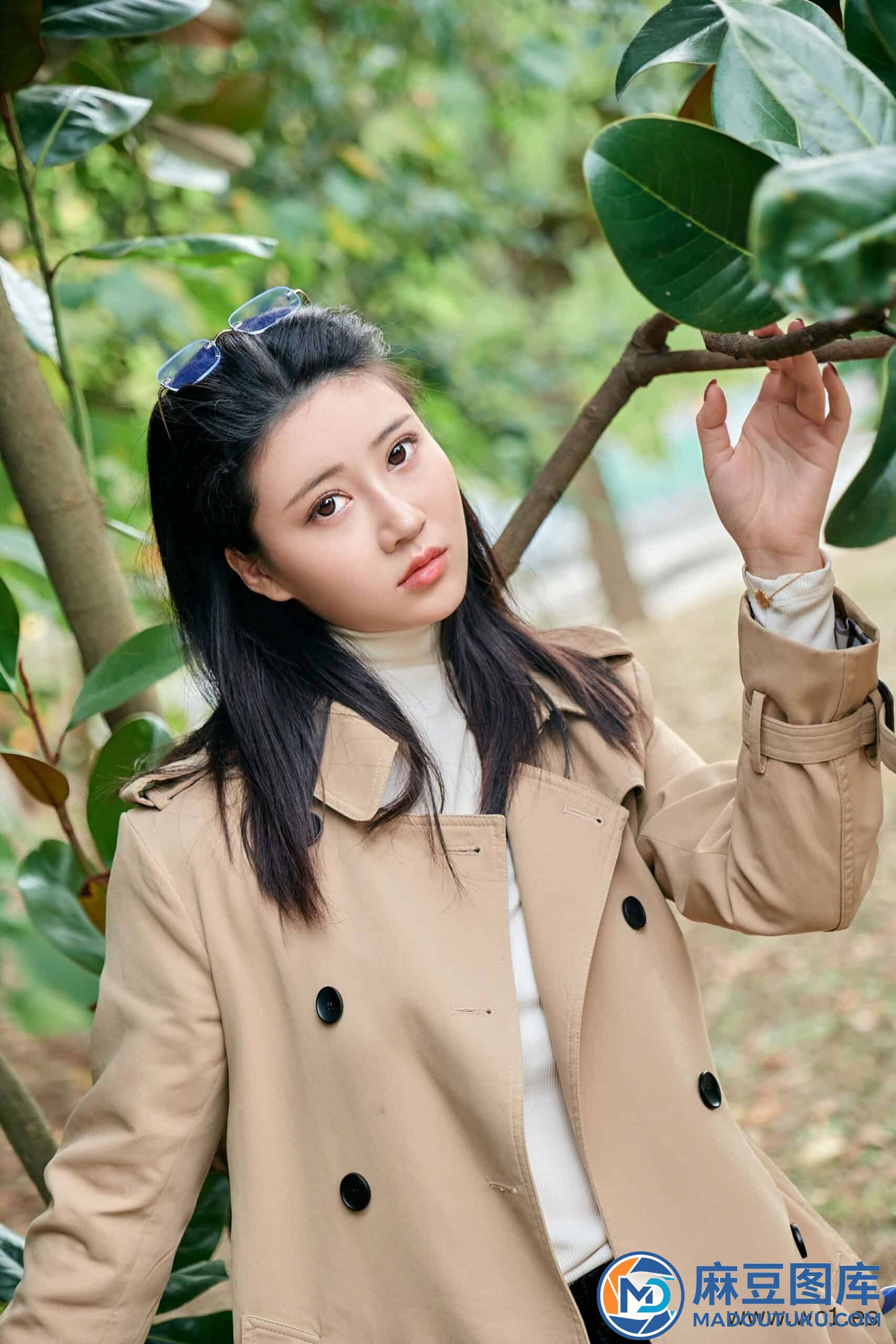年年《枫洄》 - 第 3 张