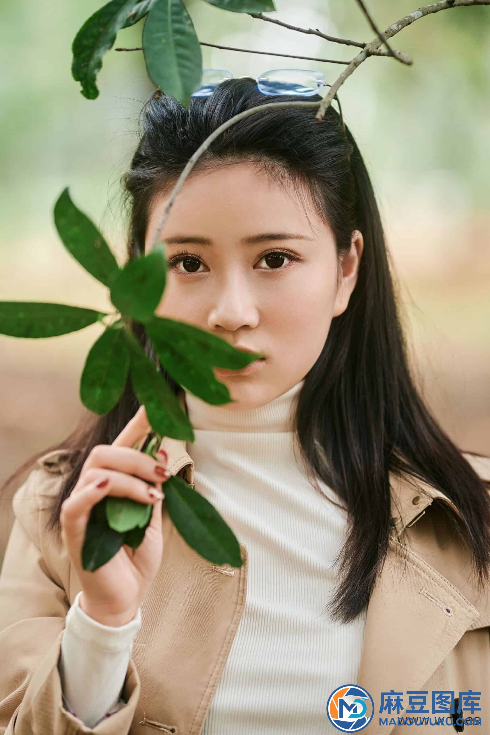 年年《枫洄》 - 第 1 张