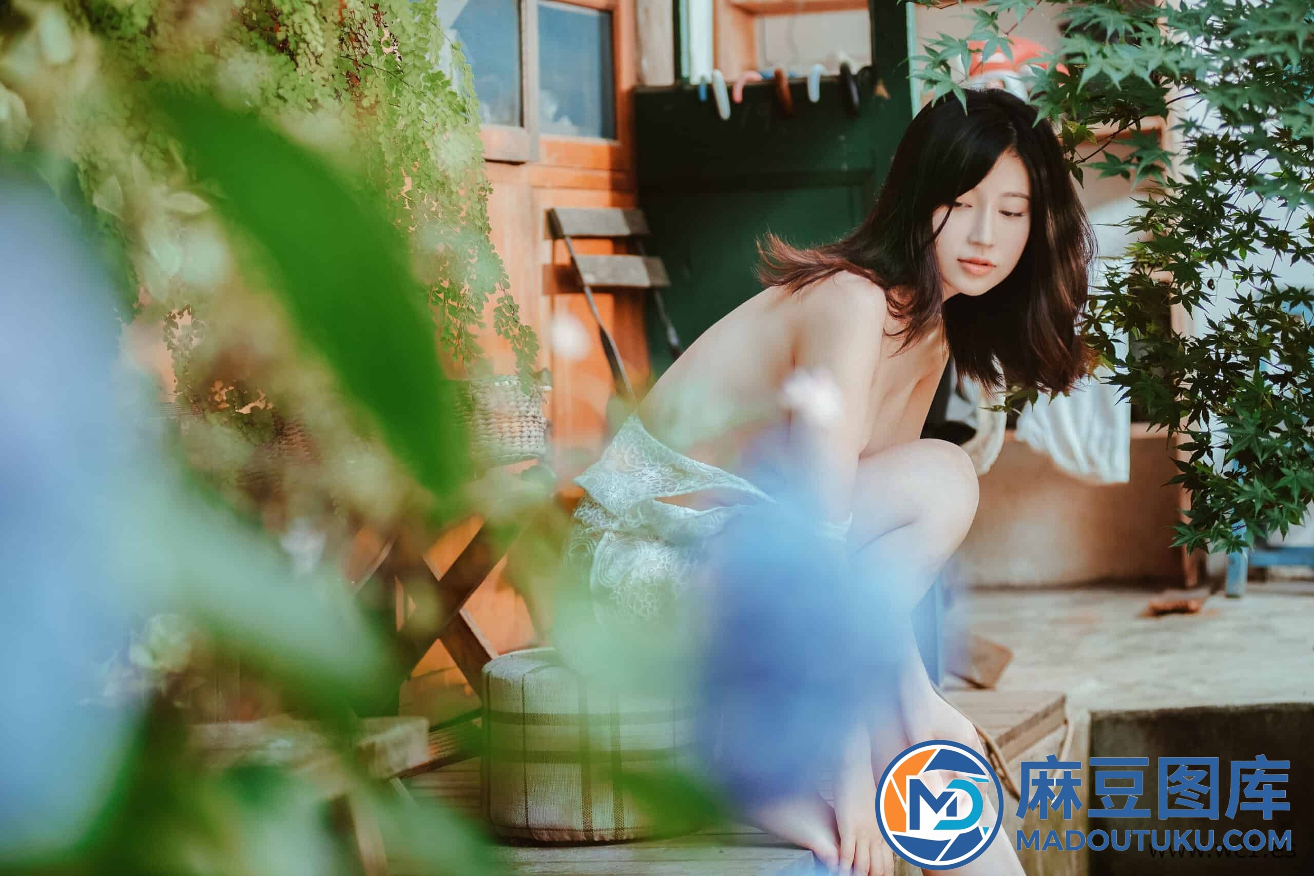 年年《夏日精灵》