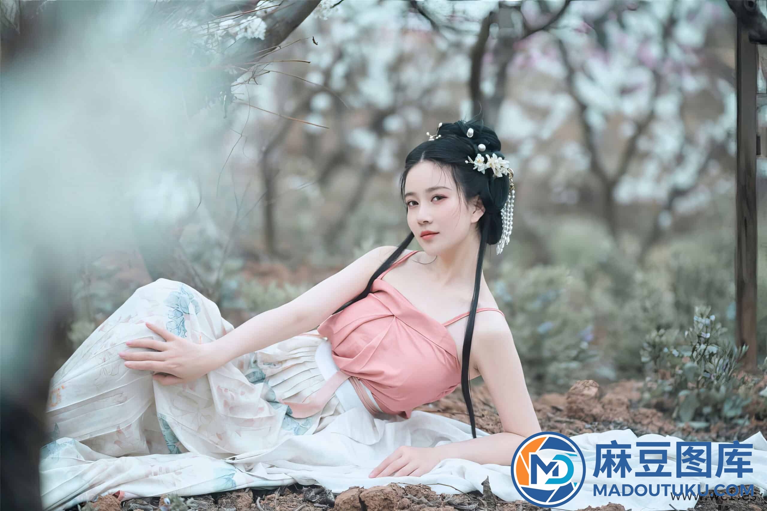年年《三月榕》 - 第 8 张