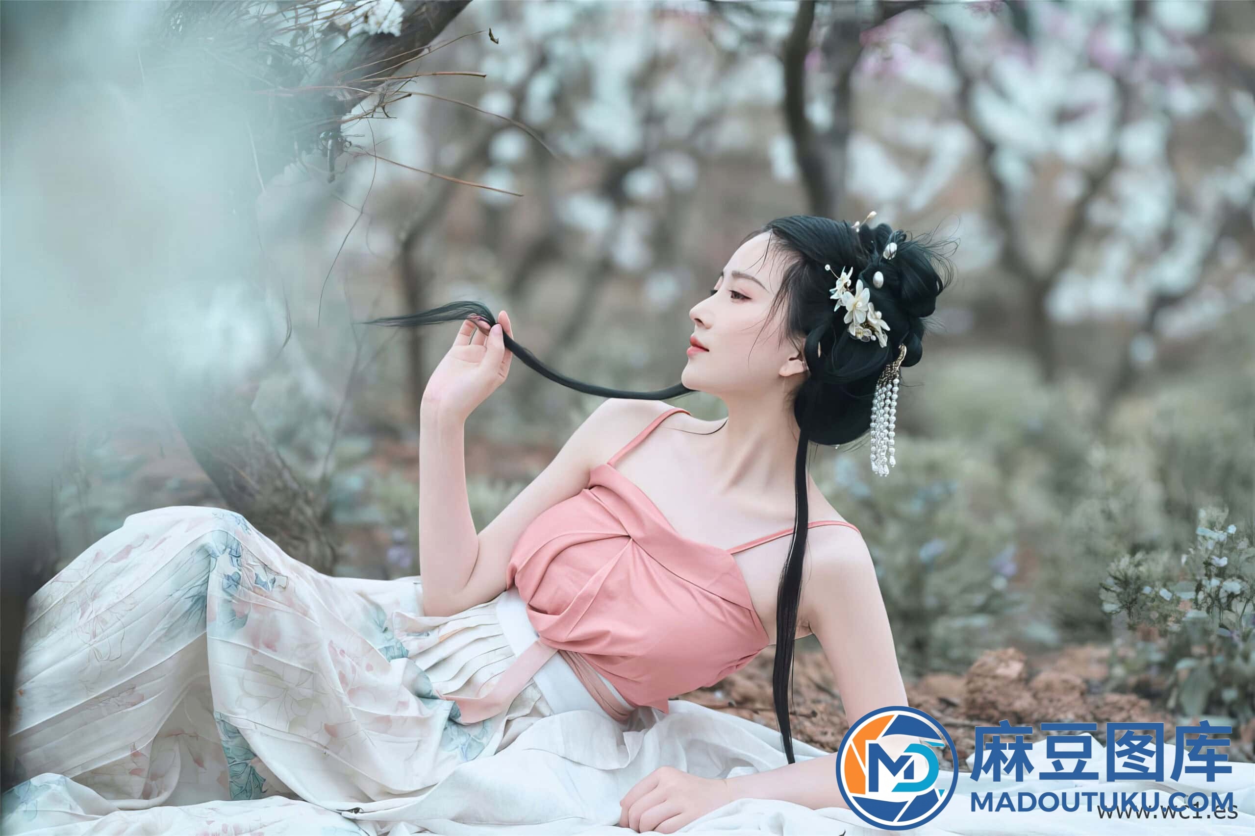 年年《三月榕》 - 第 7 张