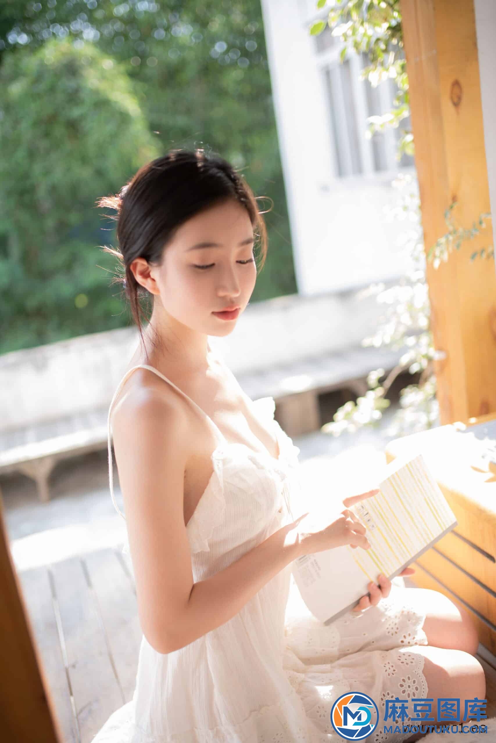 年年《夏日物语》
