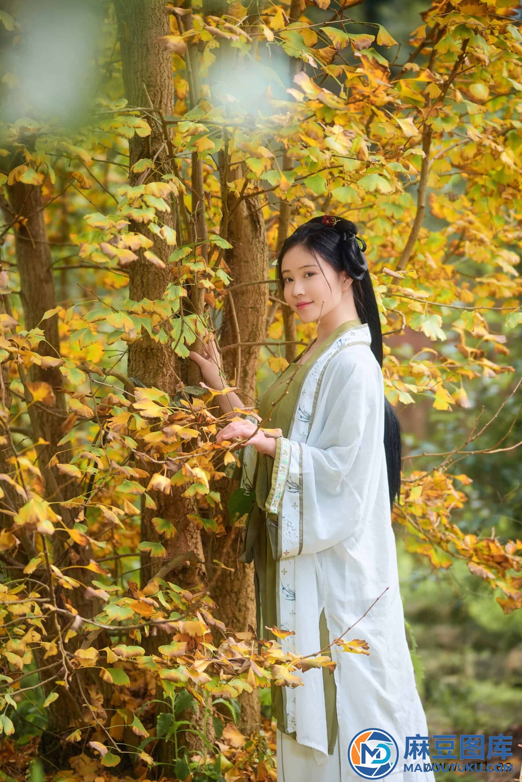 年年《秋兮》 - 第 4 张