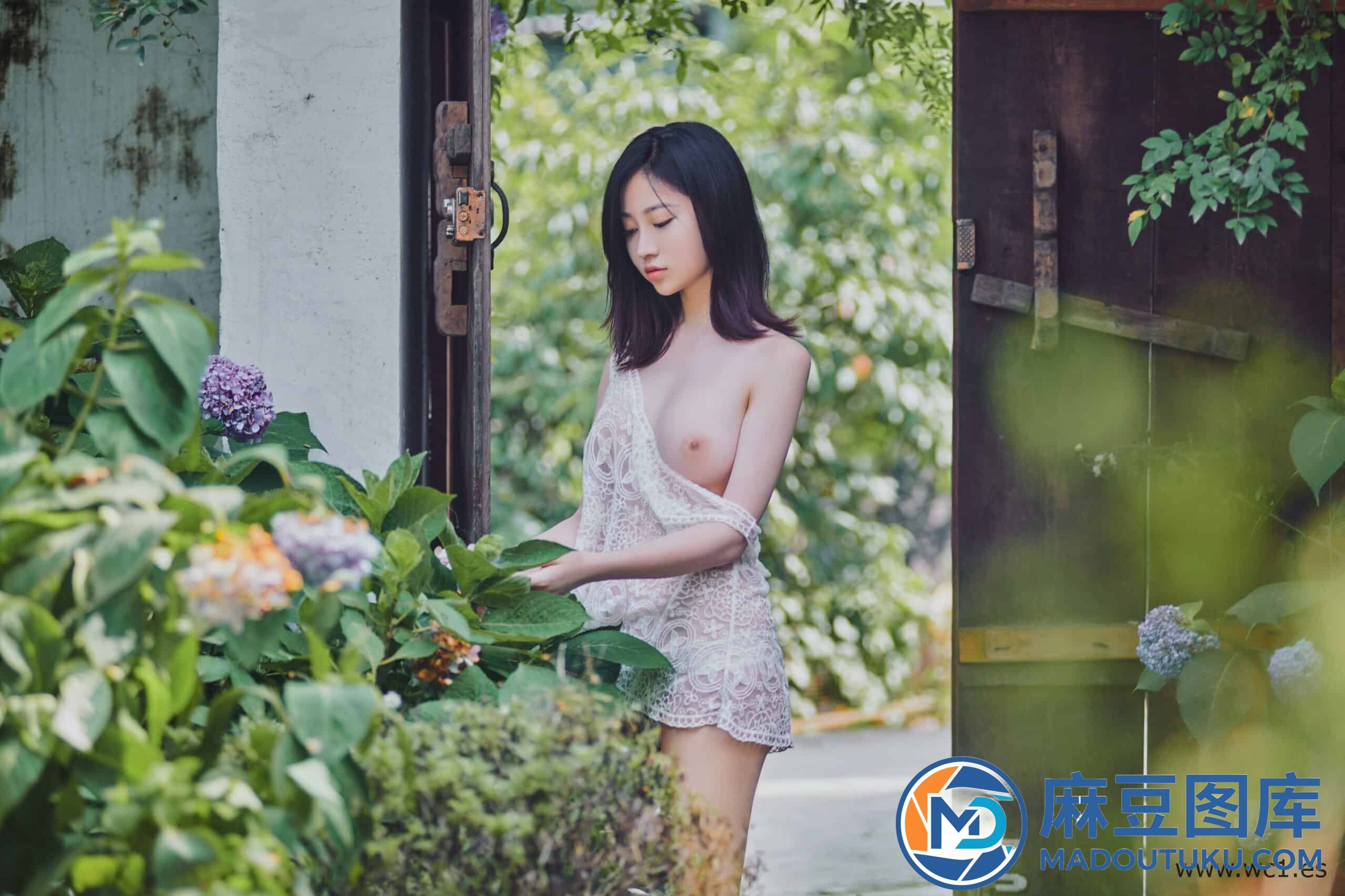 年年《夏日精灵》