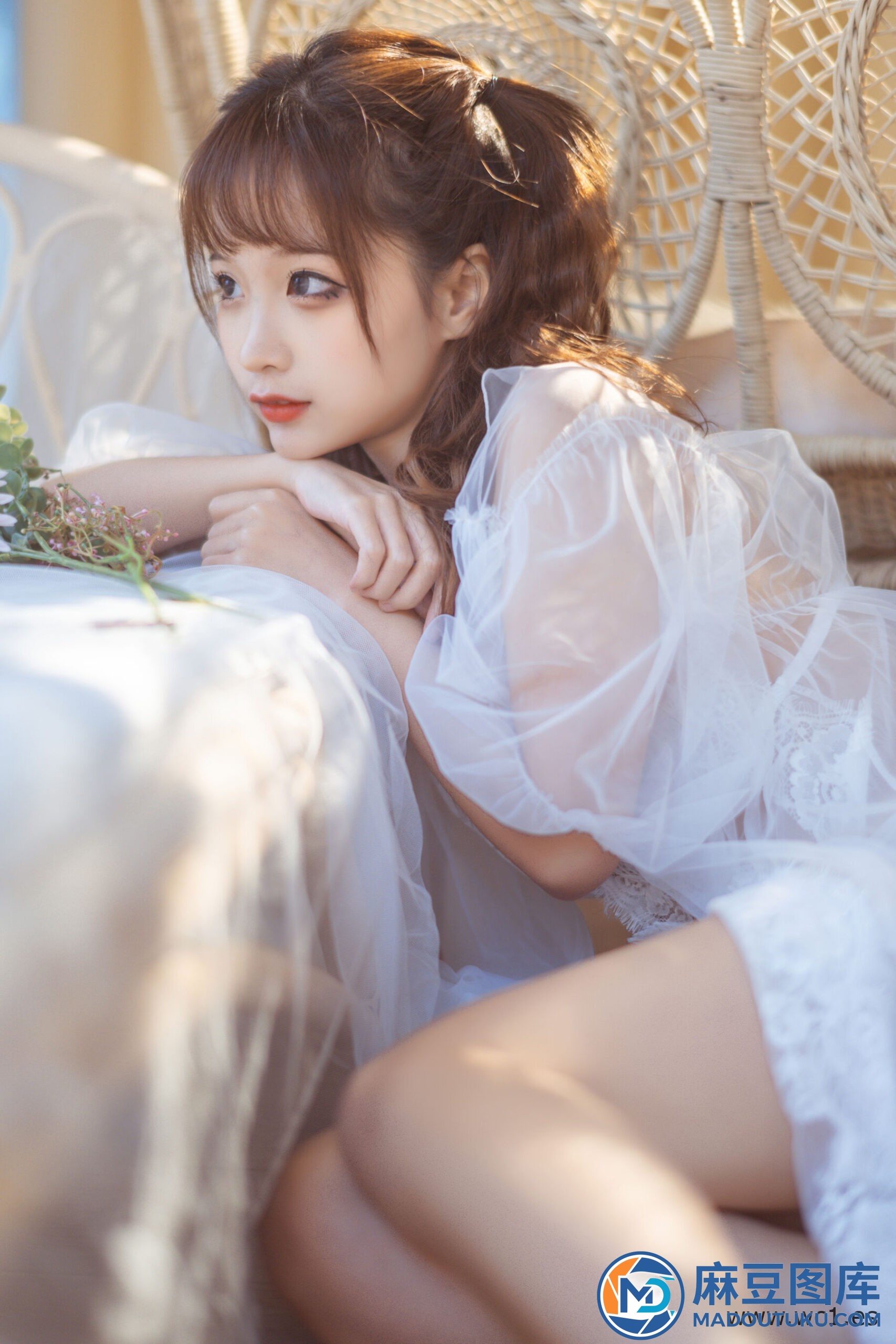 蠢沫沫《轻纱》