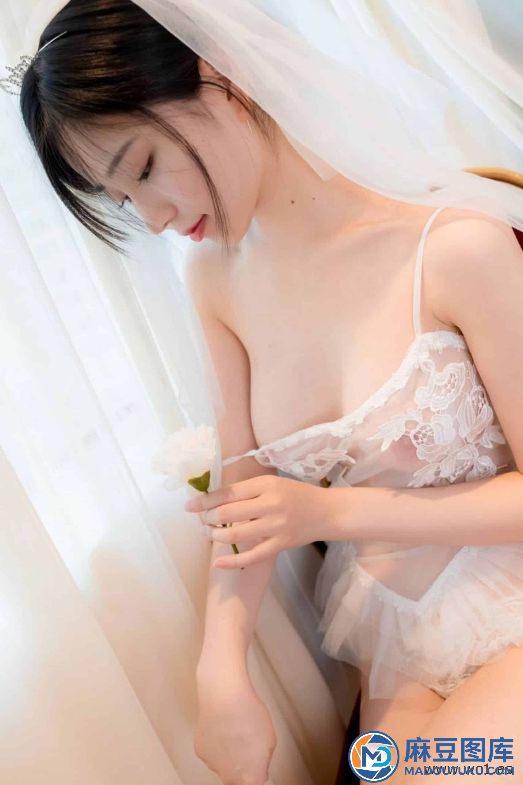 年年《婚纱》