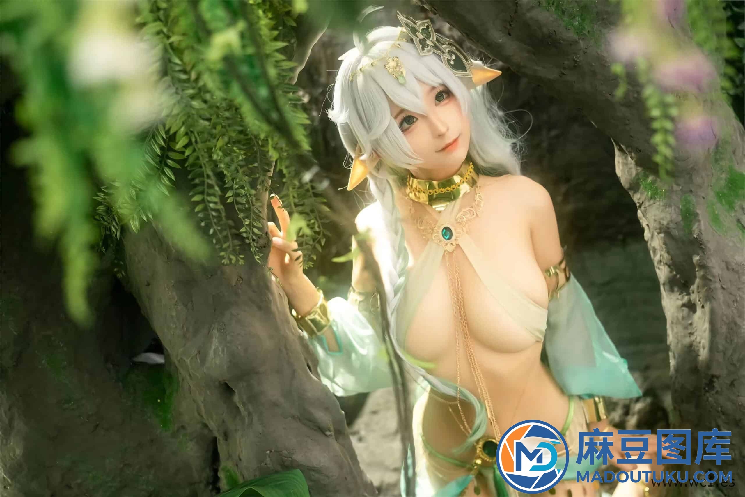 蠢沫沫《大慈树王》 - 第 4 张