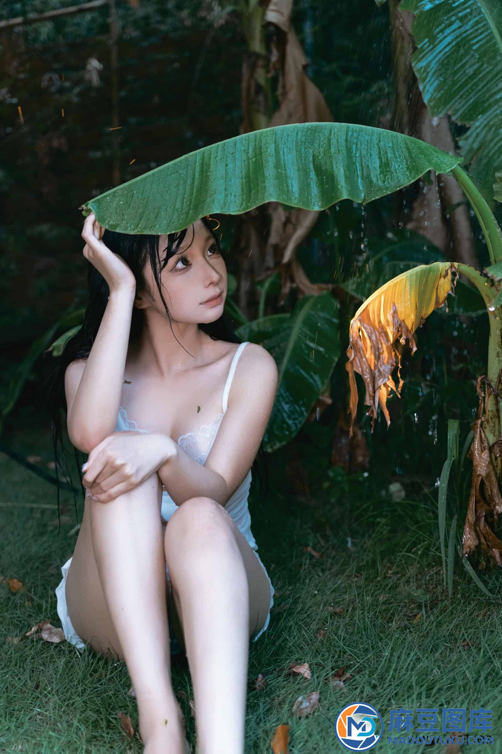 蠢沫沫《雨》