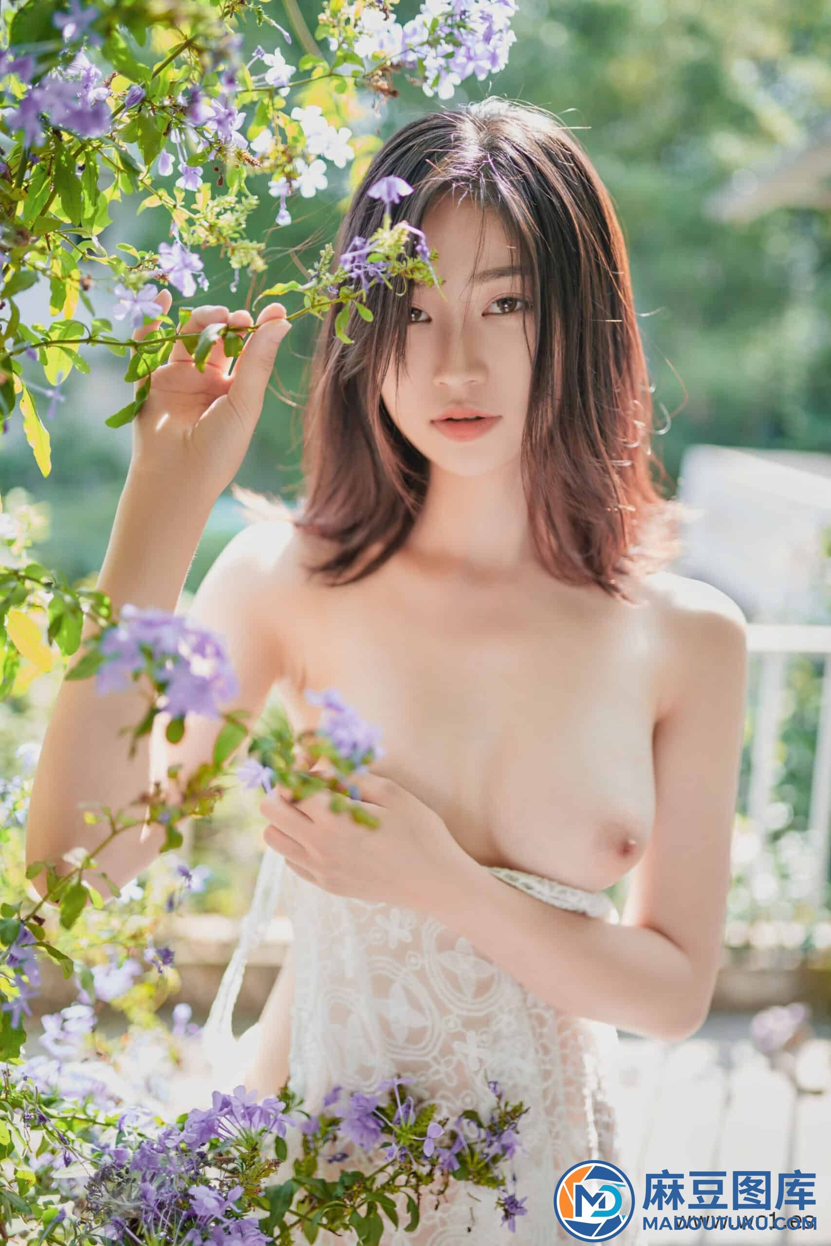年年《夏日精灵》