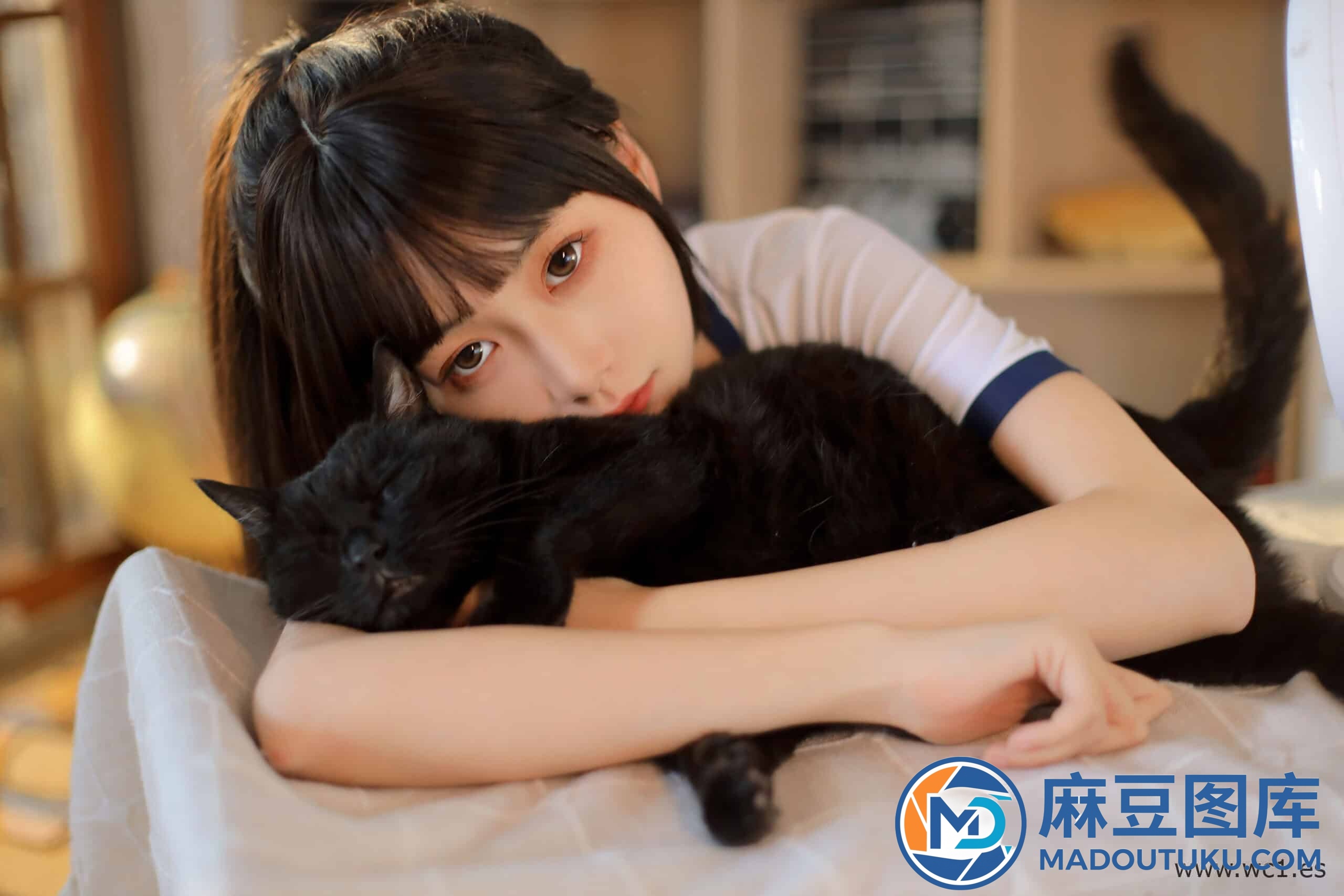 金鱼kinngyo《夏日午后》 - 第 4 张