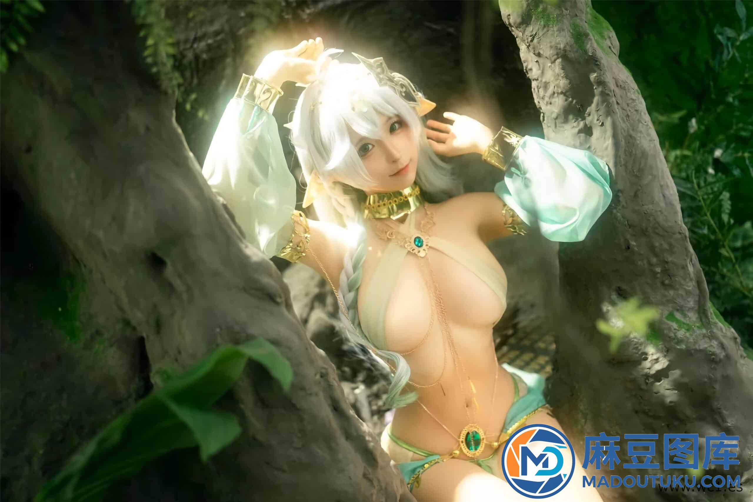蠢沫沫《大慈树王》 - 第 5 张
