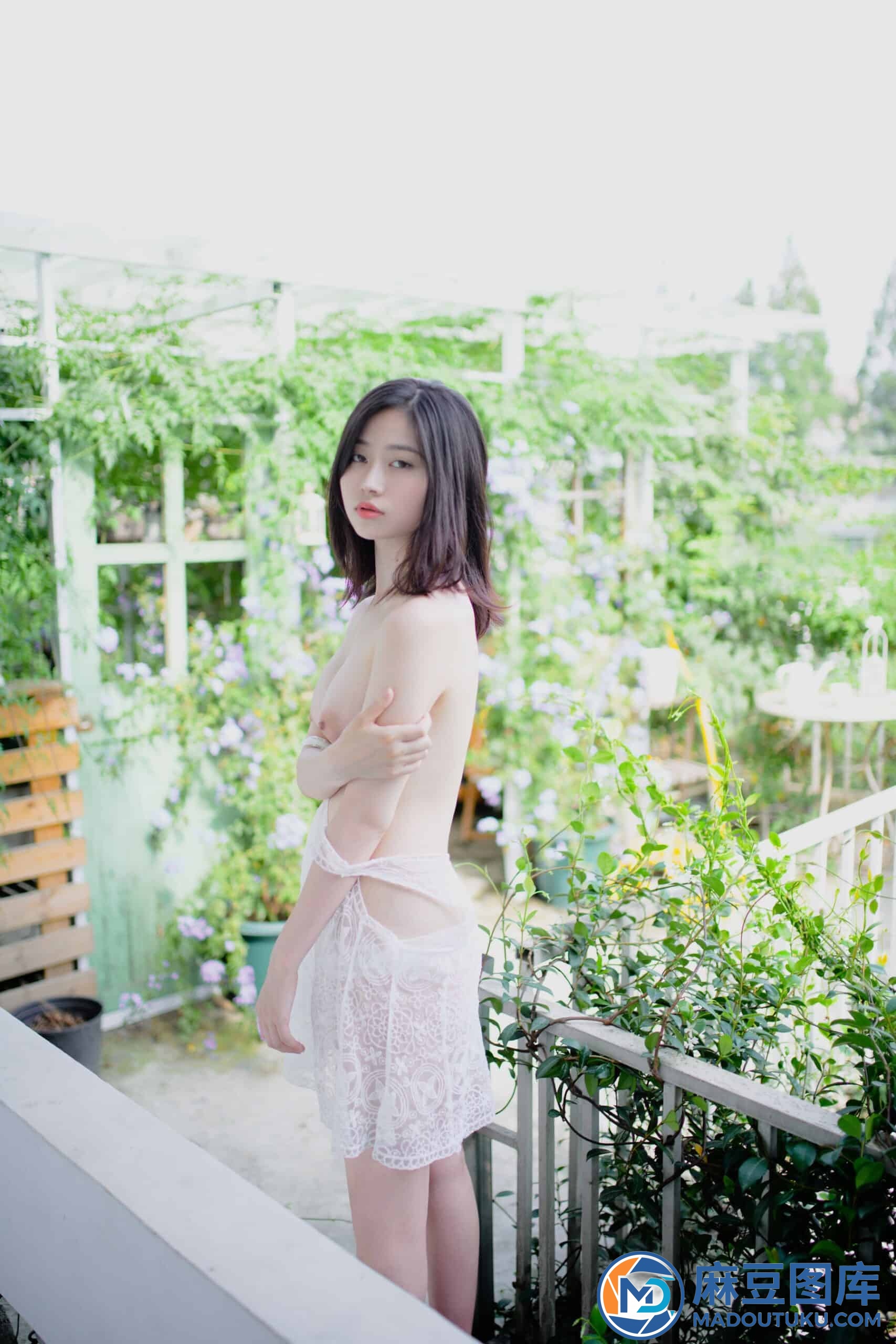 年年《夏日精灵》