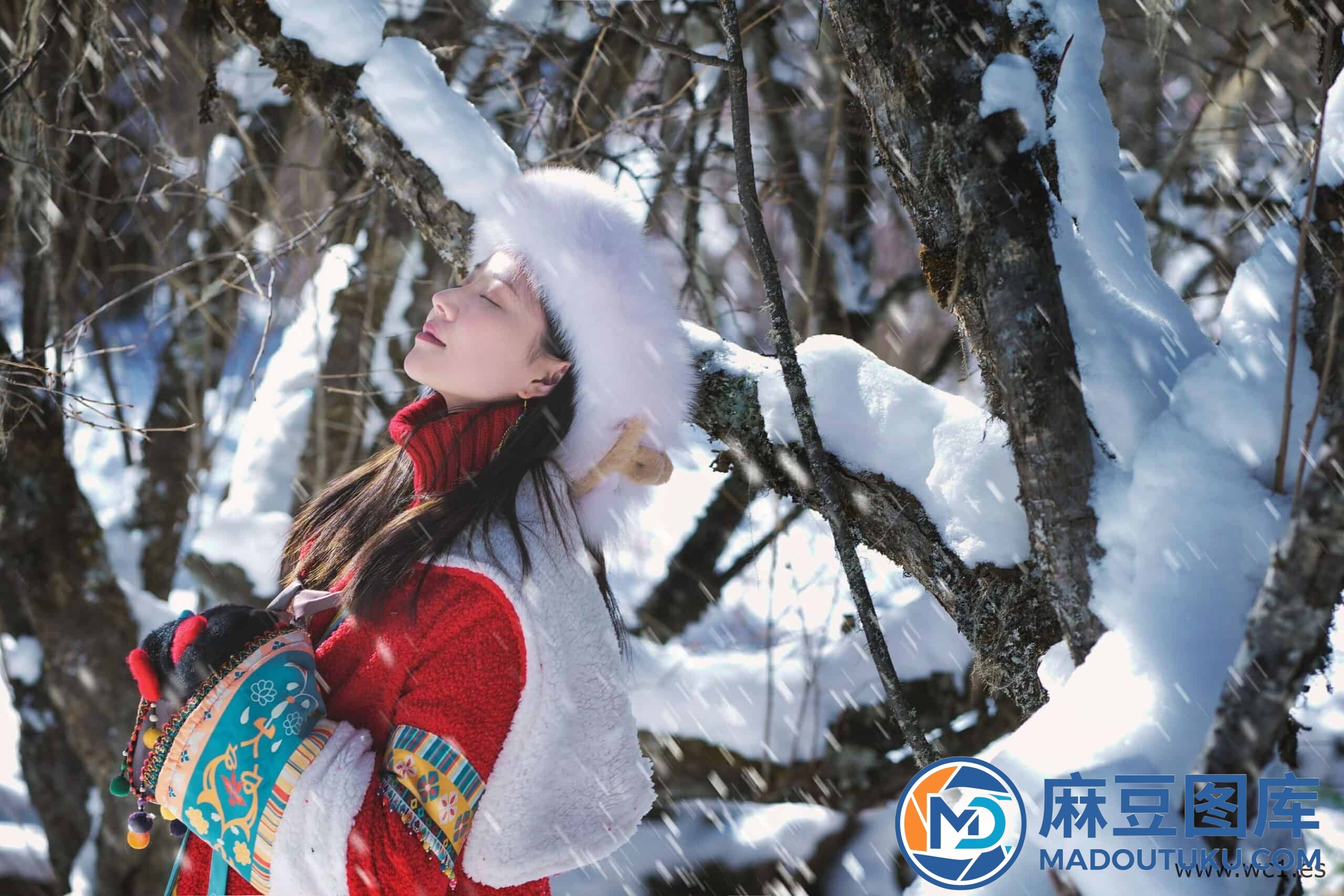 年年《吉祥雪兆丰年》 - 第 8 张