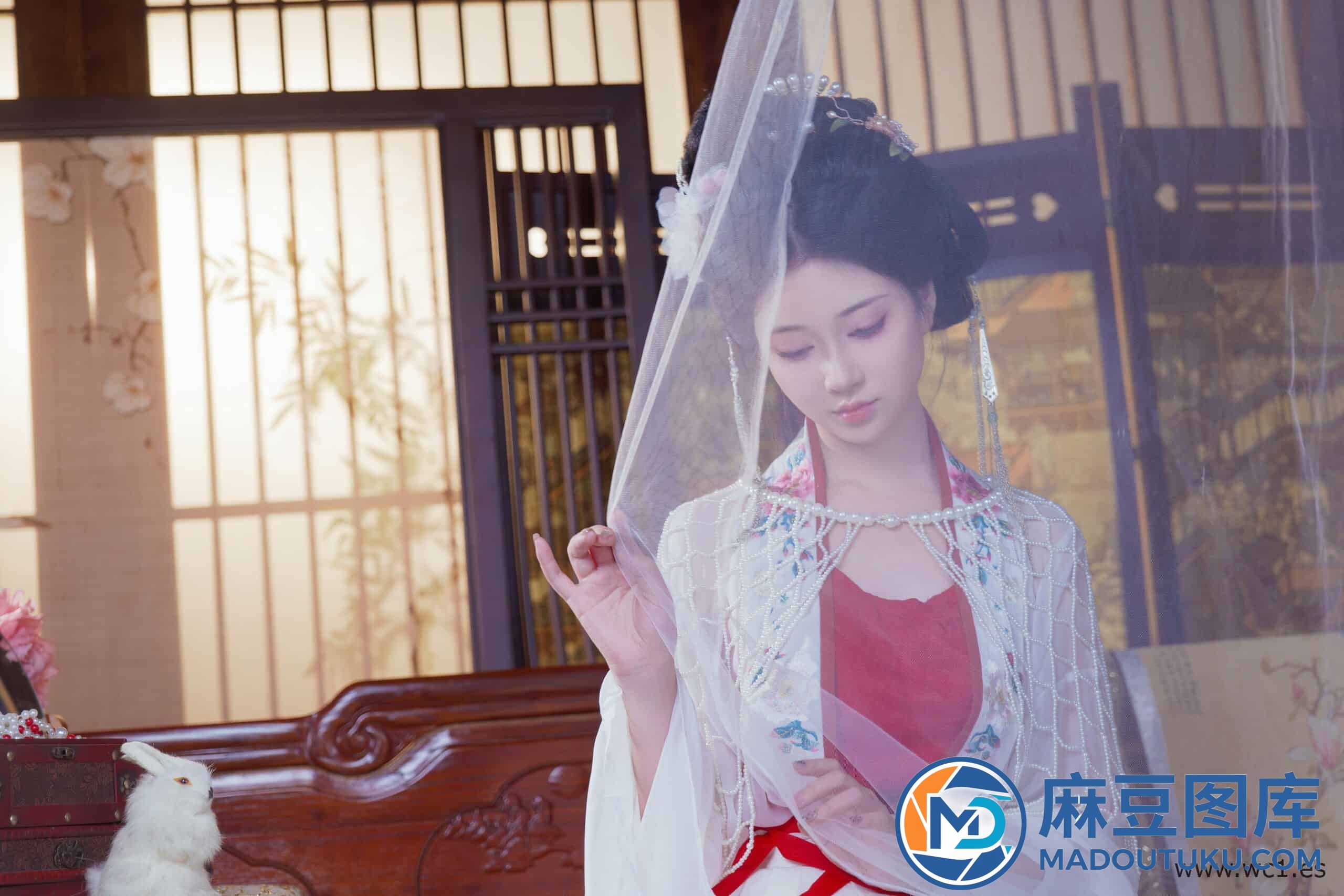 【国模套图】年年《广寒仙子》 - 第 4 张